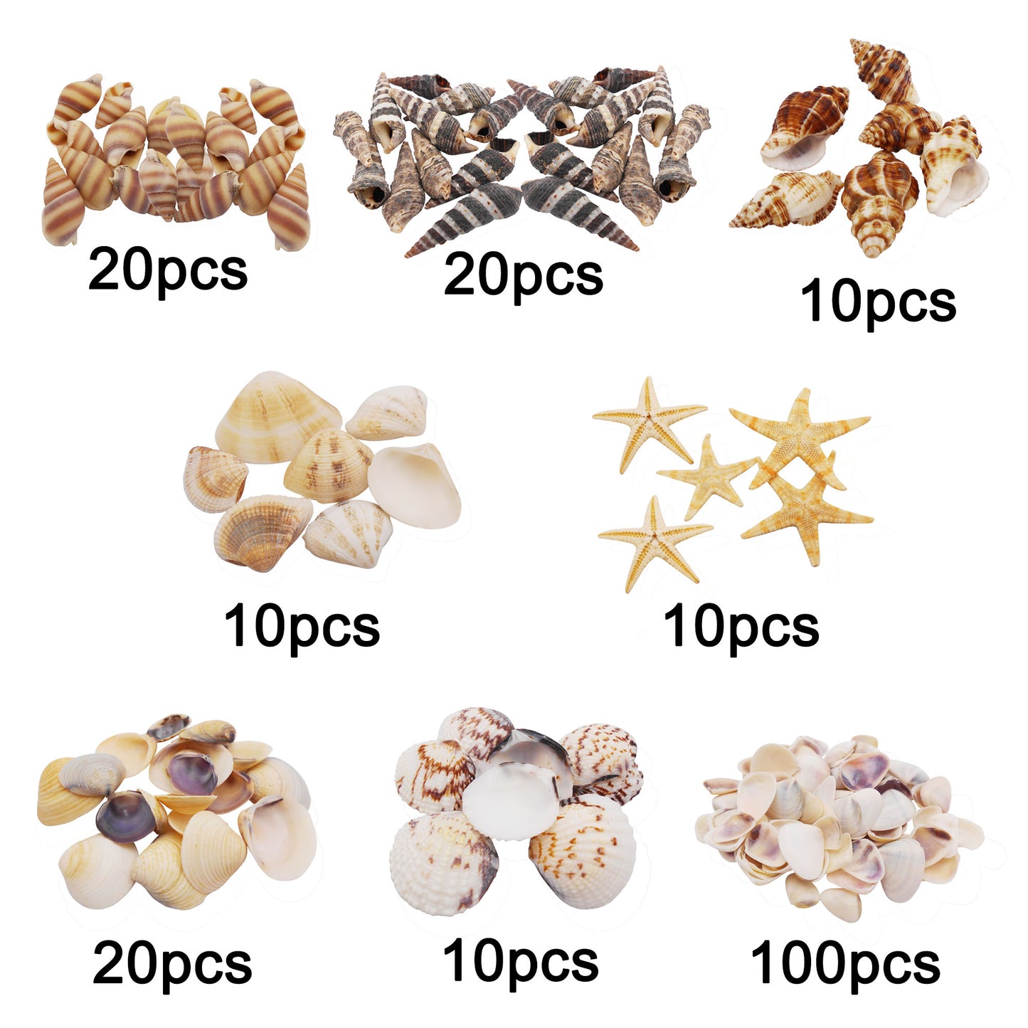 1 Box of 200pcs Sea Shell Conch Shell Tiny Ocean Spiral Shells Starfish Photo Props Fish Tank Aquarium Decoration Landscraping Accessory