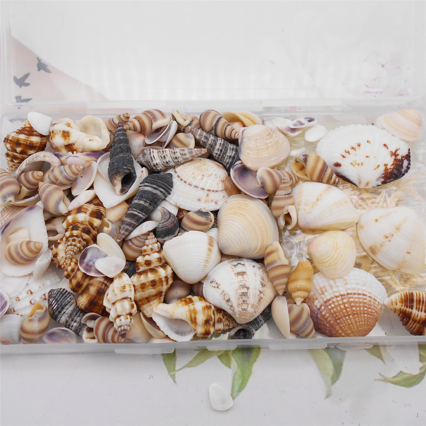 1 Box of 200pcs Sea Shell Conch Shell Tiny Ocean Spiral Shells Starfish Photo Props Fish Tank Aquarium Decoration Landscraping Accessory