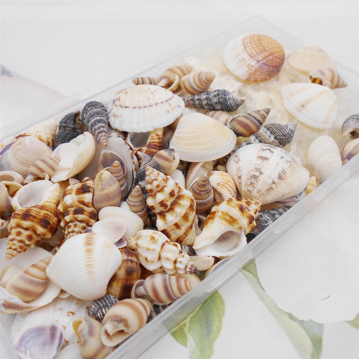 1 Box of 200pcs Sea Shell Conch Shell Tiny Ocean Spiral Shells Starfish Photo Props Fish Tank Aquarium Decoration Landscraping Accessory
