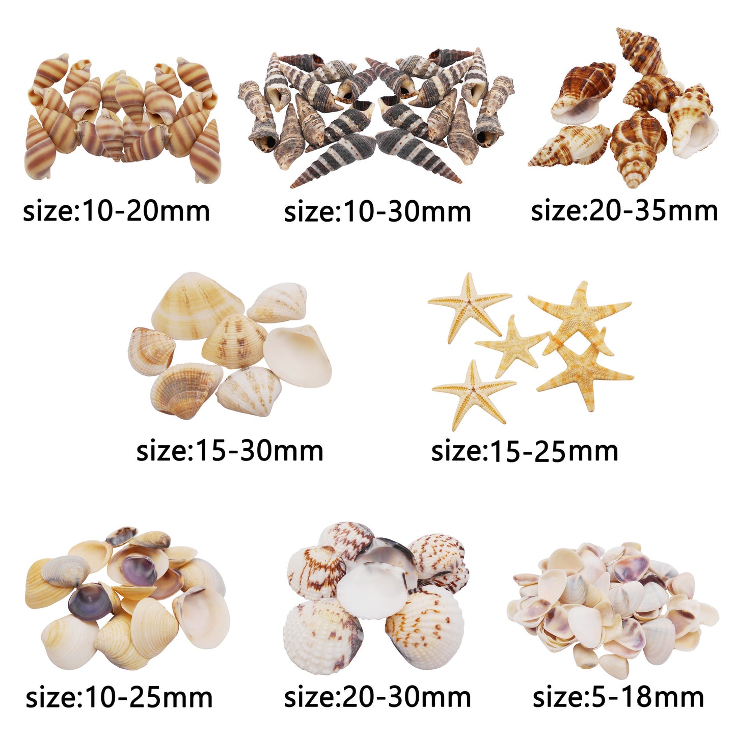 1 Box of 200pcs Sea Shell Conch Shell Tiny Ocean Spiral Shells Starfish Photo Props Fish Tank Aquarium Decoration Landscraping Accessory