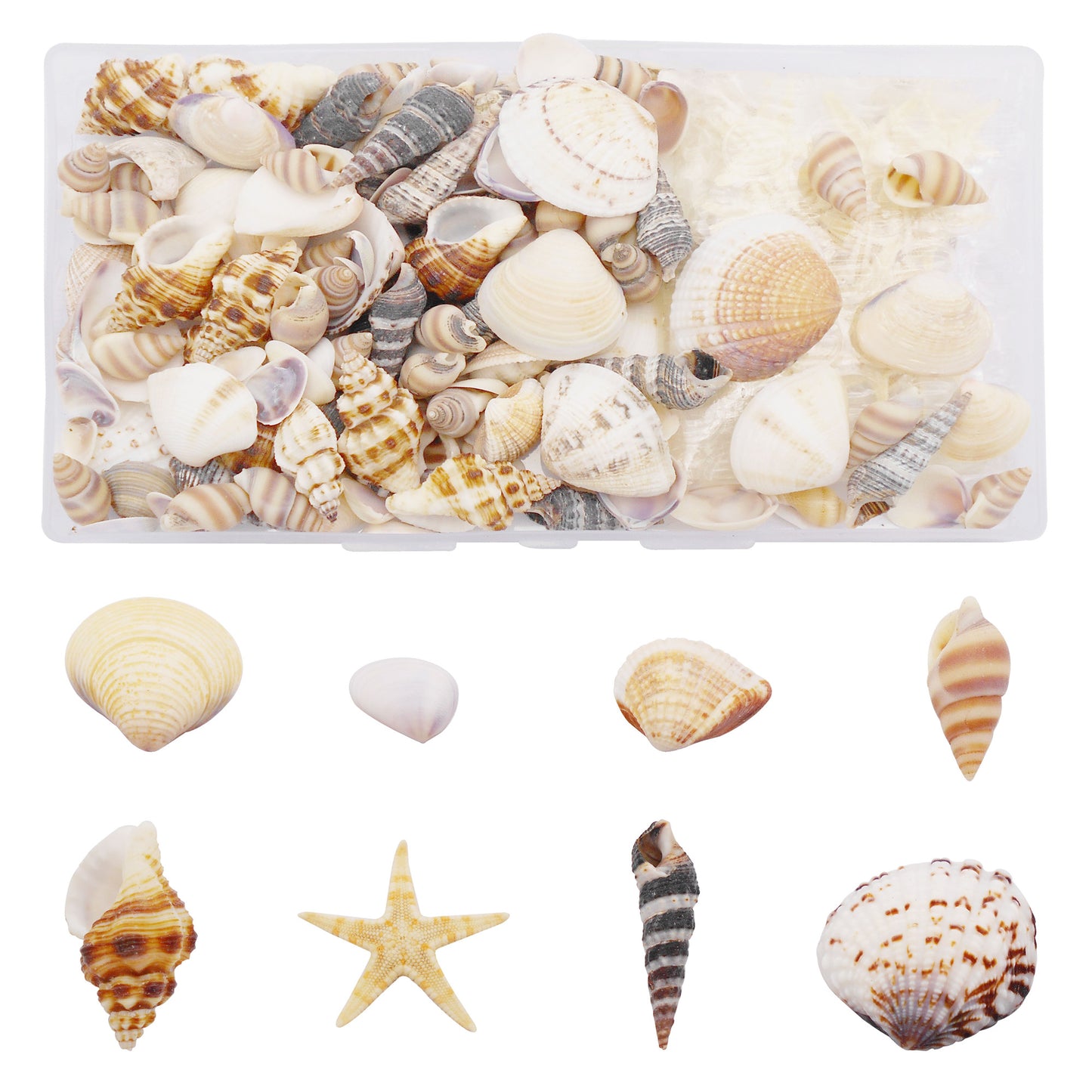 1 Box of 200pcs Sea Shell Conch Shell Tiny Ocean Spiral Shells Starfish Photo Props Fish Tank Aquarium Decoration Landscraping Accessory