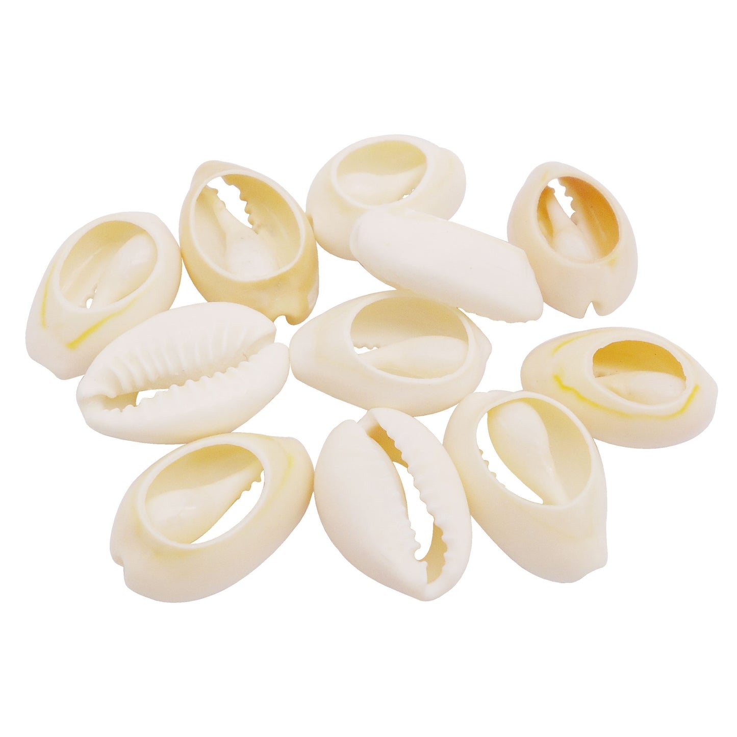100Pcs Natural Sea Shells White Cowrie Sliced Shell Bead for Fish Tank Aquarium Decor Anklet Bracelet Making Accessory DIY Hair Decor
