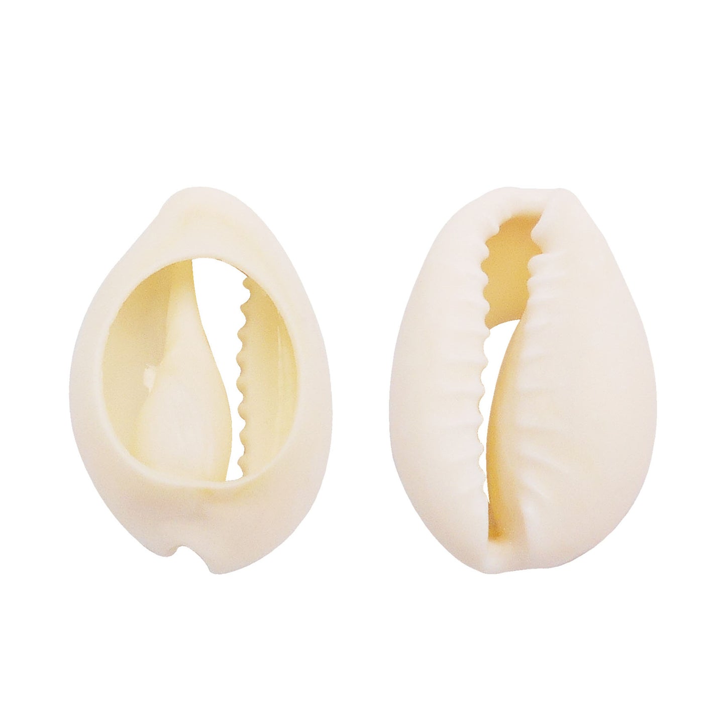 100Pcs Natural Sea Shells White Cowrie Sliced Shell Bead for Fish Tank Aquarium Decor Anklet Bracelet Making Accessory DIY Hair Decor