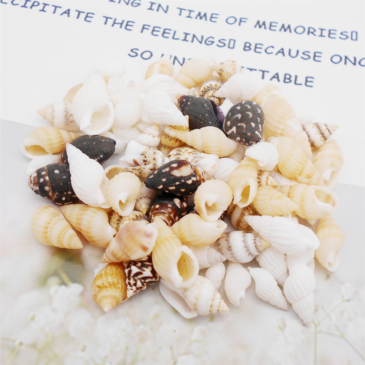200Pcs Conch Shell Natural Spiral Shell Bead Mixed 8-23mm Beach Sea Shell DIY Fish Tank Home Decoration Bracelet Necklace Anklet Making Accessories