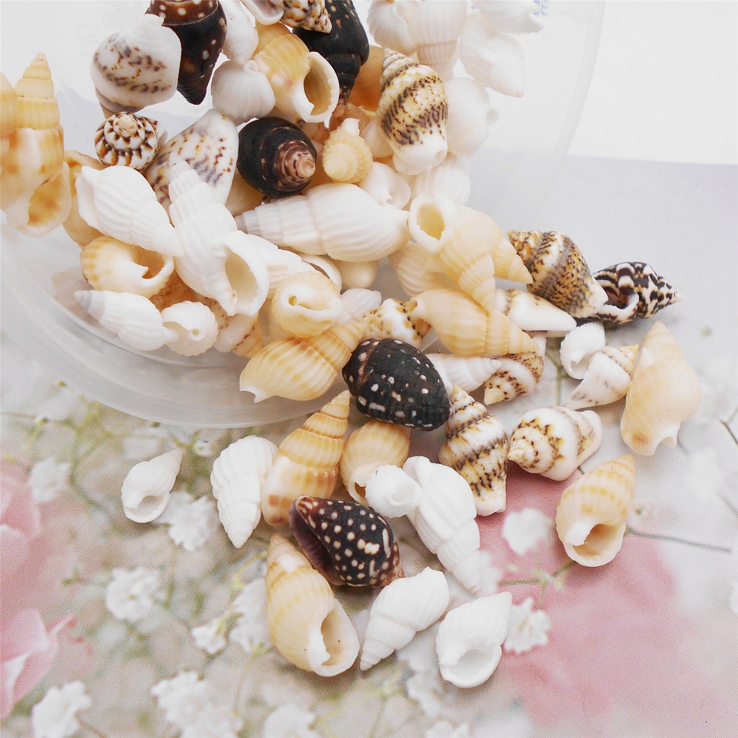 200Pcs Conch Shell Natural Spiral Shell Bead Mixed 8-23mm Beach Sea Shell DIY Fish Tank Home Decoration Bracelet Necklace Anklet Making Accessories