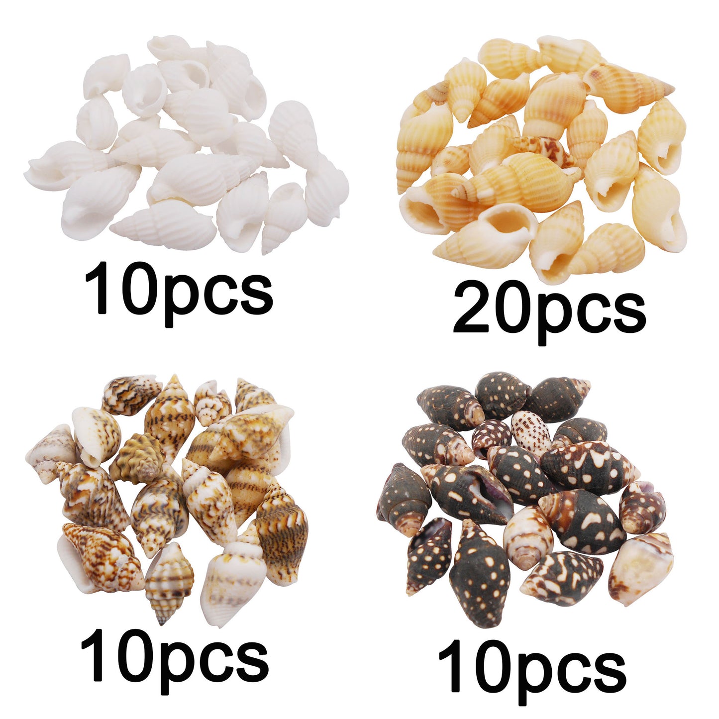 200Pcs Conch Shell Natural Spiral Shell Bead Mixed 8-23mm Beach Sea Shell DIY Fish Tank Home Decoration Bracelet Necklace Anklet Making Accessories