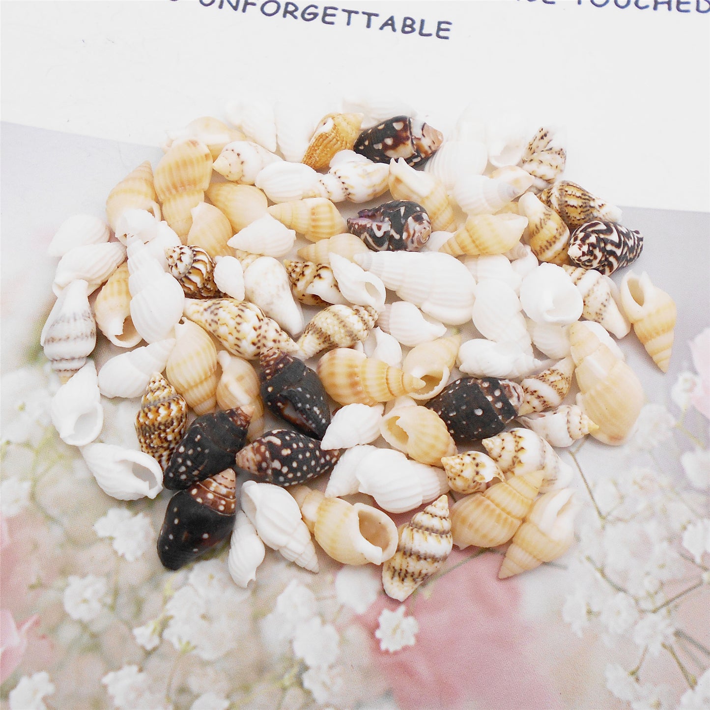 200Pcs Conch Shell Natural Spiral Shell Bead Mixed 8-23mm Beach Sea Shell DIY Fish Tank Home Decoration Bracelet Necklace Anklet Making Accessories