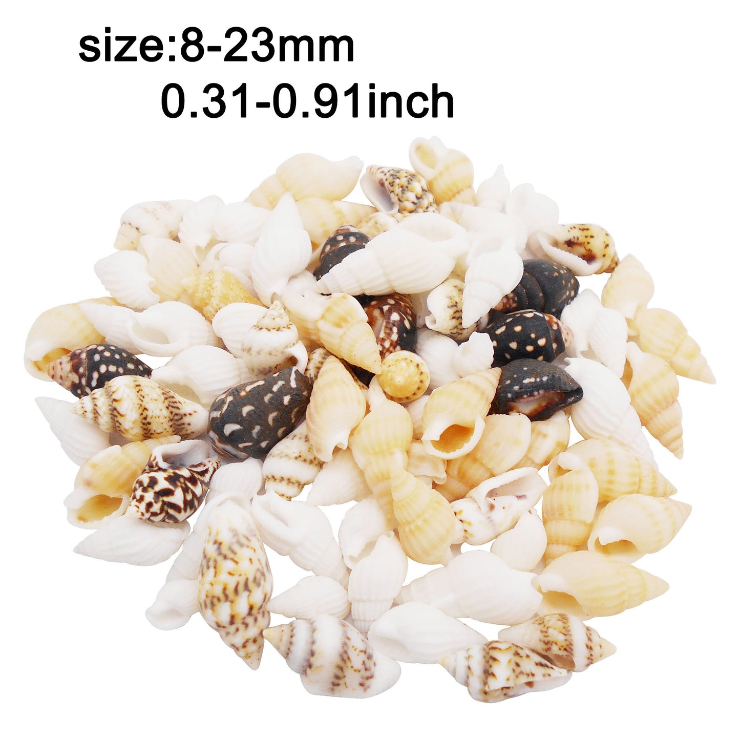 200Pcs Conch Shell Natural Spiral Shell Bead Mixed 8-23mm Beach Sea Shell DIY Fish Tank Home Decoration Bracelet Necklace Anklet Making Accessories