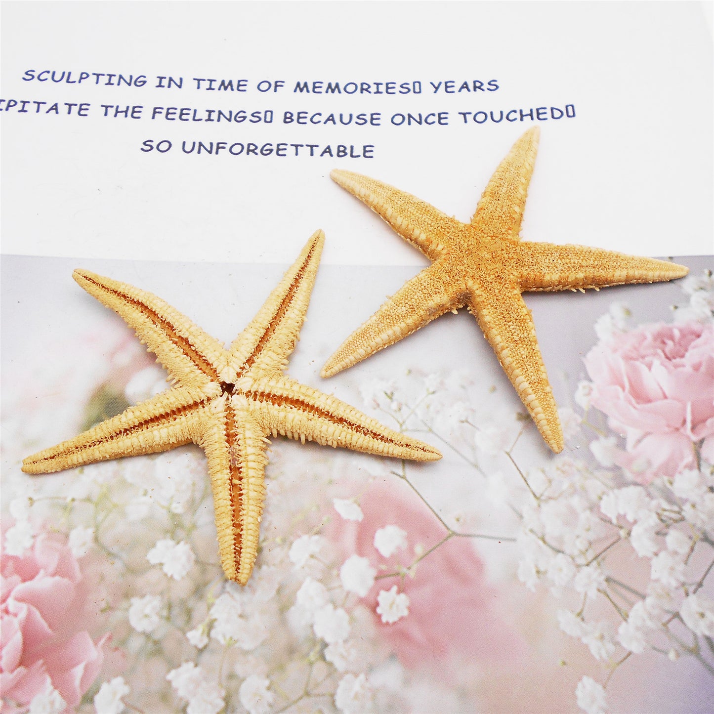 2pcs Natural Starfish Ocean Shell Sea Star DIY Fish Tank Aquarium Ornament Making Accessory Beach Wedding Decor Supplies