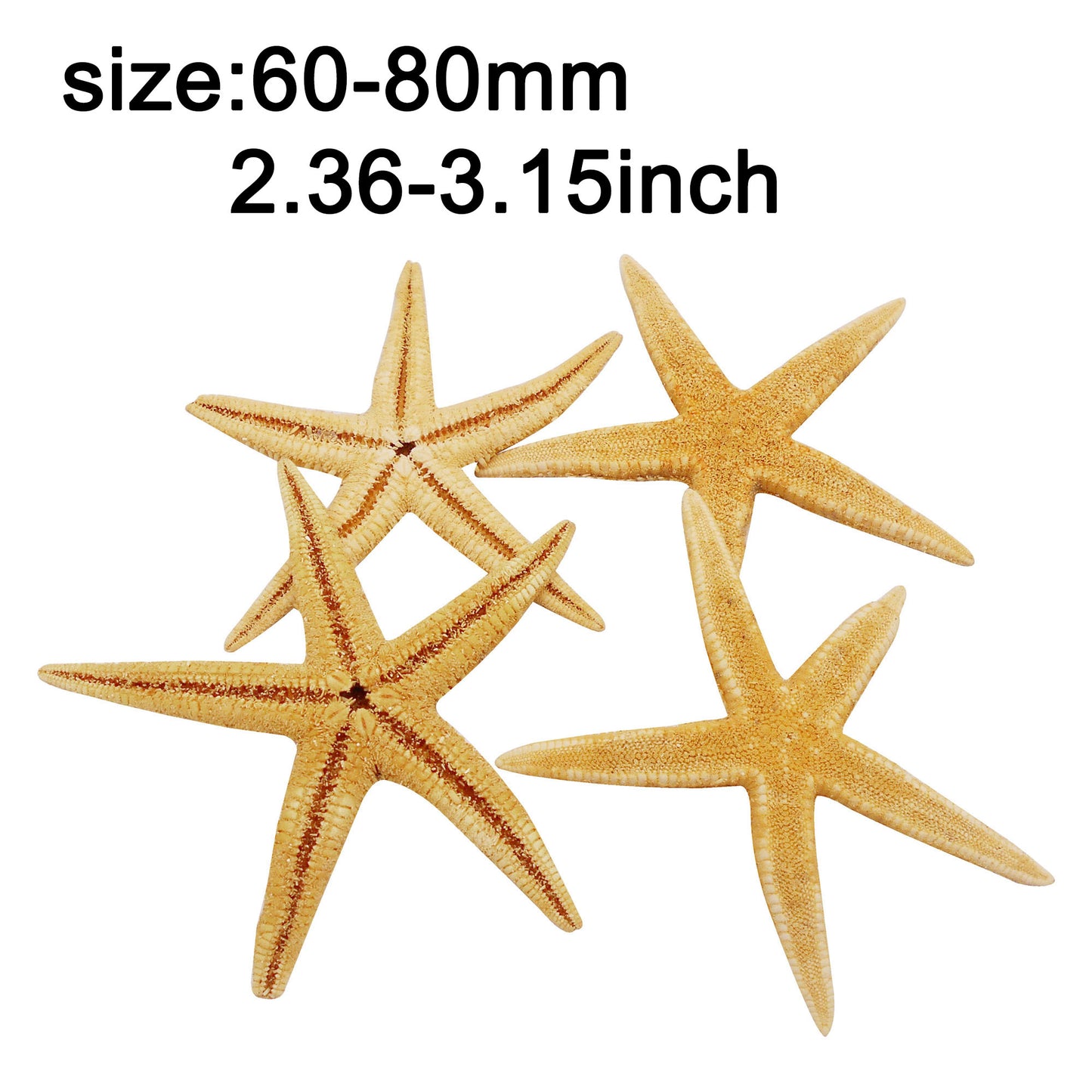 2pcs Natural Starfish Ocean Shell Sea Star DIY Fish Tank Aquarium Ornament Making Accessory Beach Wedding Decor Supplies