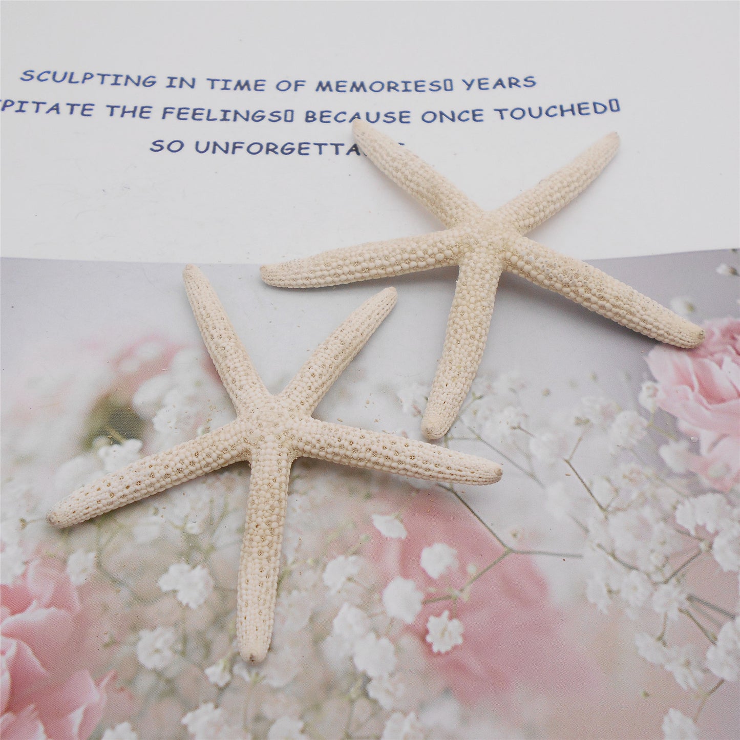 2pcs Natural Starfish Ocean Shell Sea Star DIY Fish Tank Aquarium Ornament Making Accessory Beach Wedding Decor Supplies