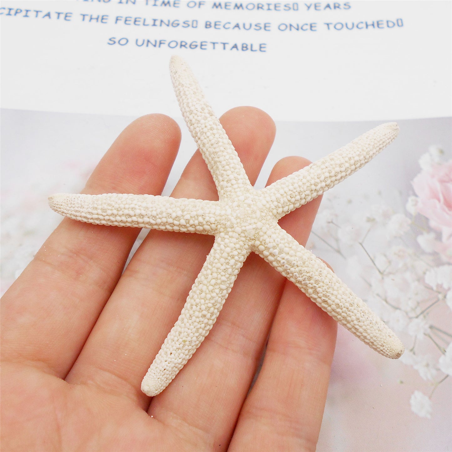 2pcs Natural Starfish Ocean Shell Sea Star DIY Fish Tank Aquarium Ornament Making Accessory Beach Wedding Decor Supplies