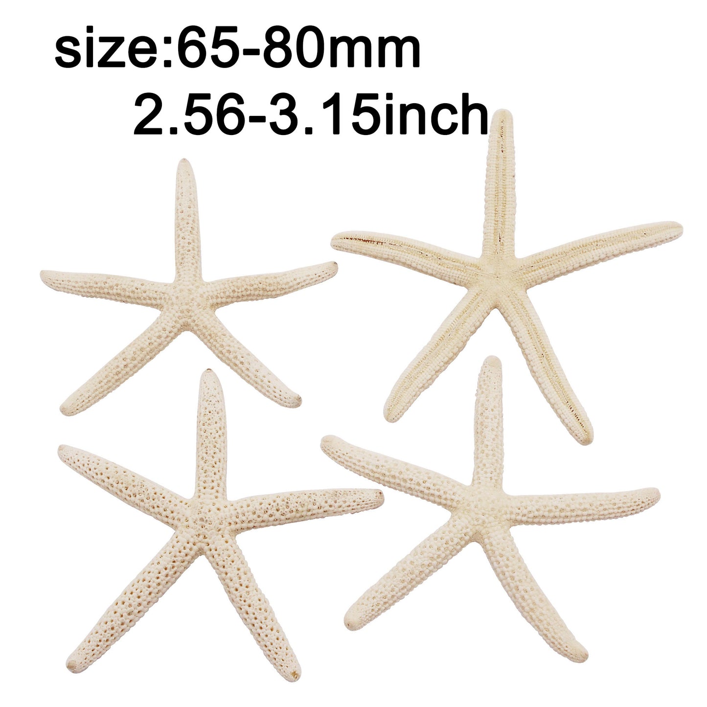 2pcs Natural Starfish Ocean Shell Sea Star DIY Fish Tank Aquarium Ornament Making Accessory Beach Wedding Decor Supplies
