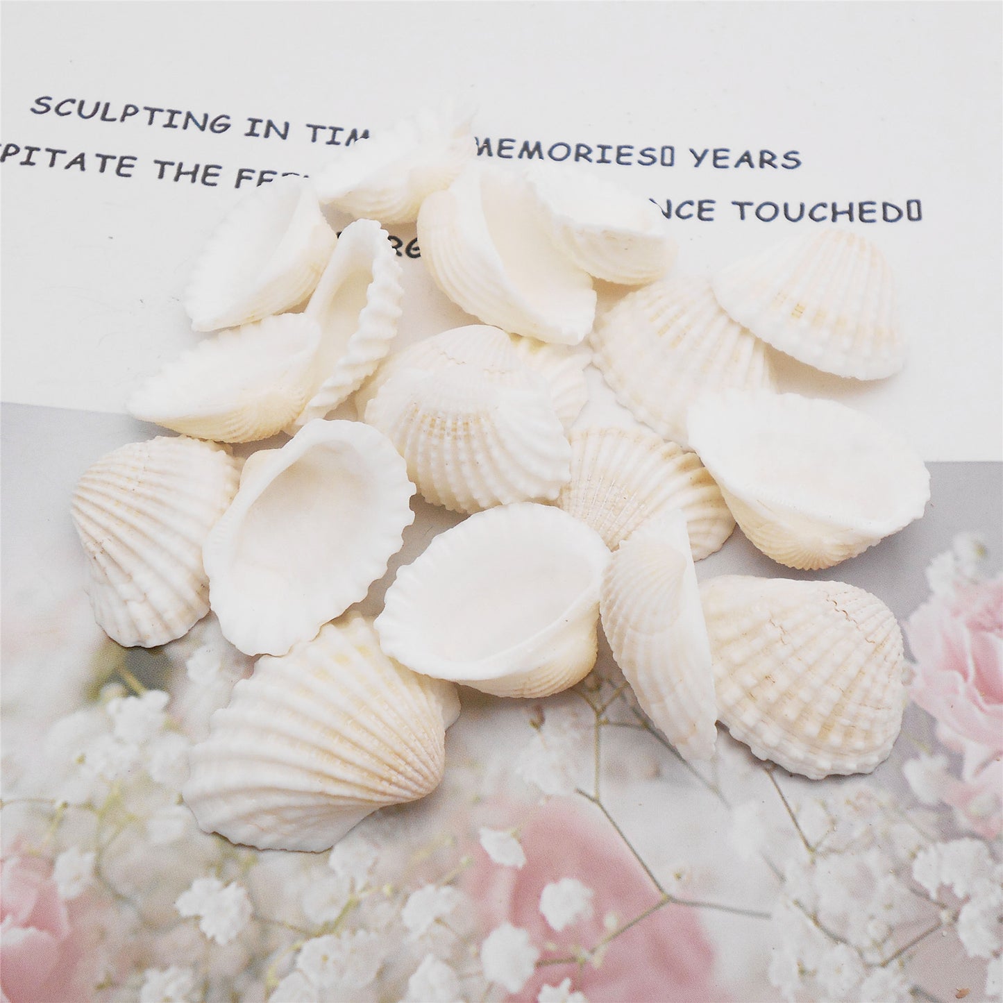 Natural Sea Shell Big Spiral Conch Shell White Clam Shell Bead DIY Fish Tank Ornament Making Accessory Beach Wedding Decor Supplies