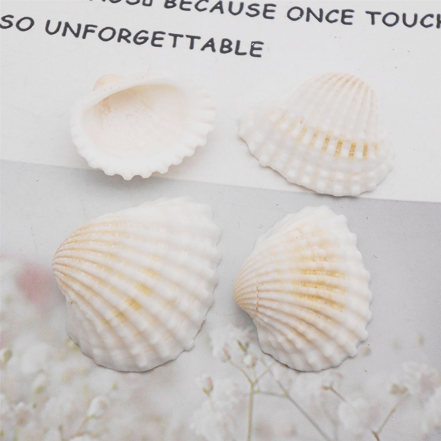 350 Grams Natural Seashells Small White Shells Bulk for Home Decor Beach Theme Party Candle Making Decoration Aquarium Vases Filler Craft DIY