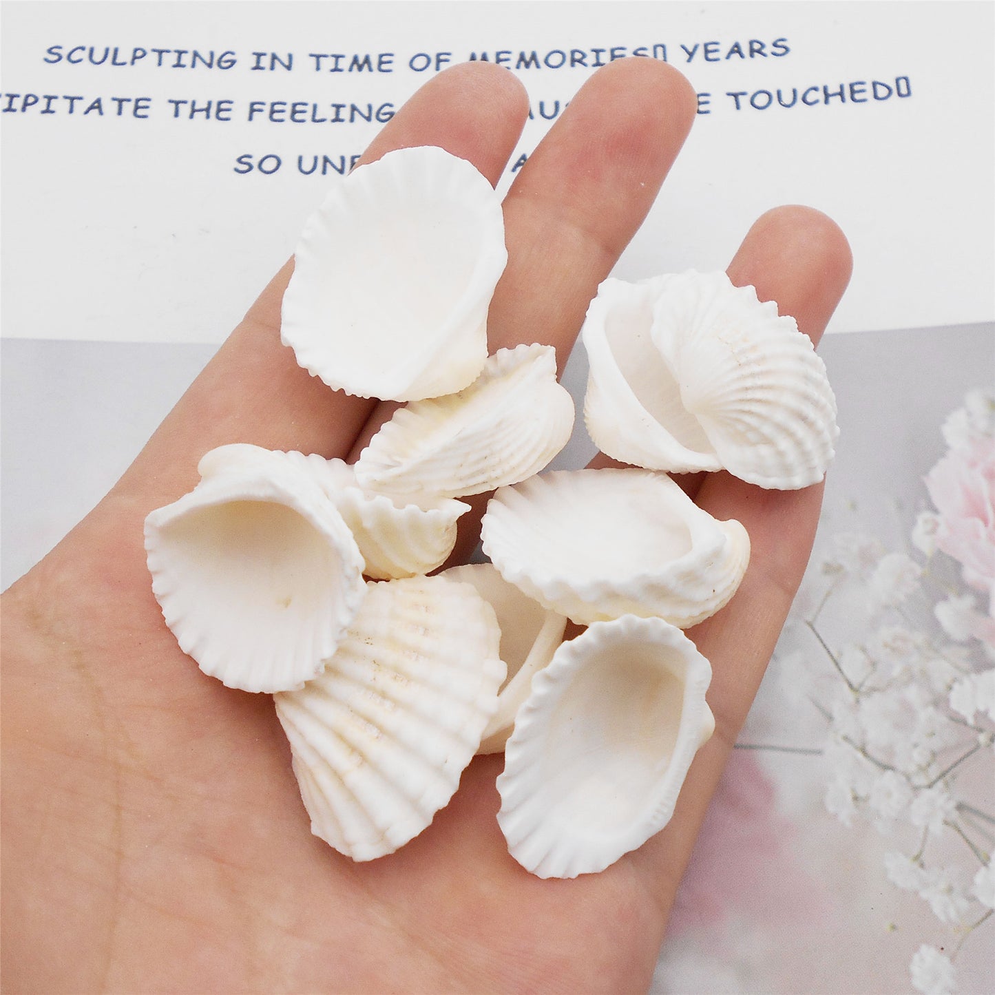 350 Grams Natural Seashells Small White Shells Bulk for Home Decor Beach Theme Party Candle Making Decoration Aquarium Vases Filler Craft DIY