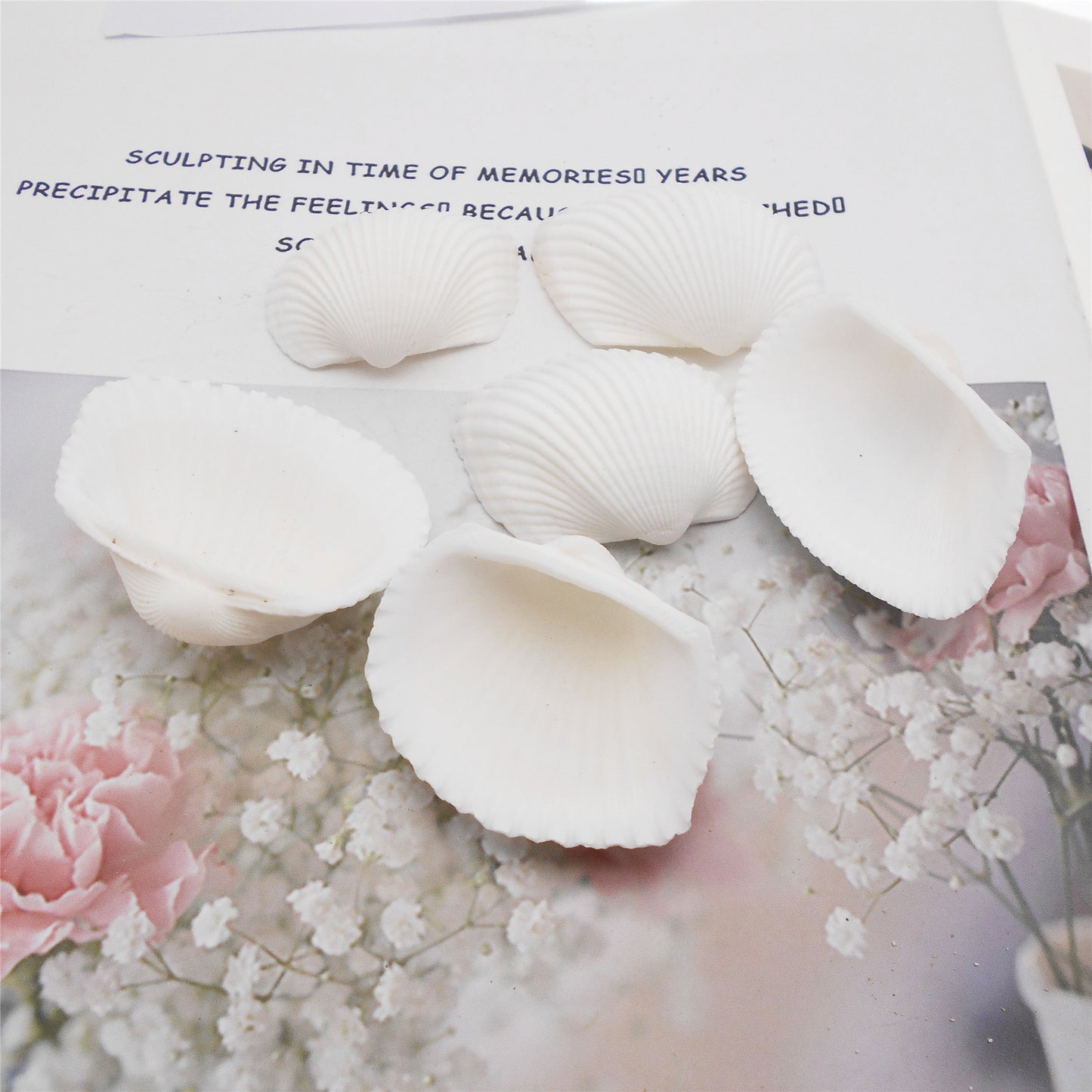 Natural Sea Shell Big Spiral Conch Shell White Clam Shell Bead DIY Fish Tank Ornament Making Accessory Beach Wedding Decor Supplies