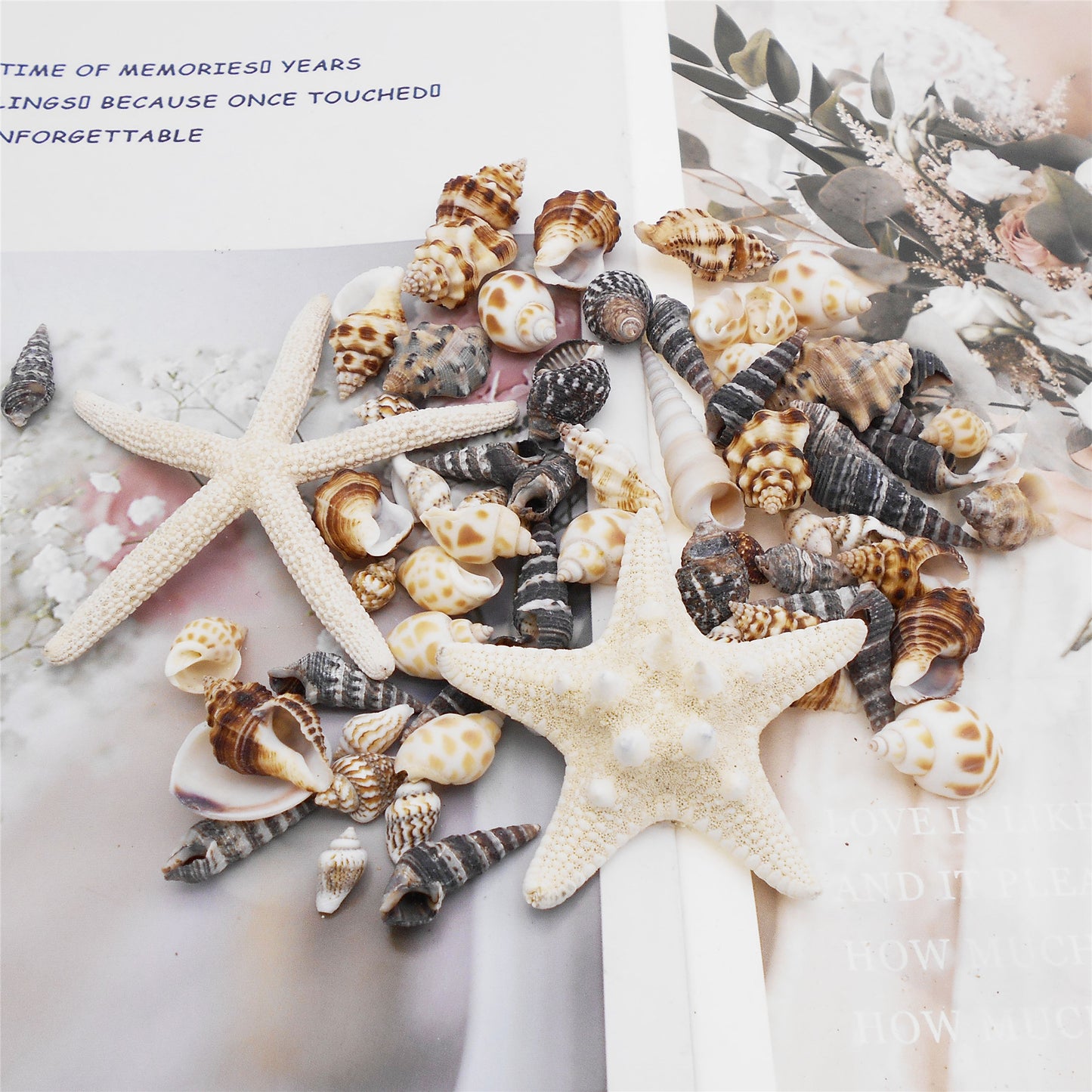 82Pcs Natural Shell Spiral Conch Sea Starfish Shell DIY Fish Tank Landscaping Making Accessory Home Ornament Decor