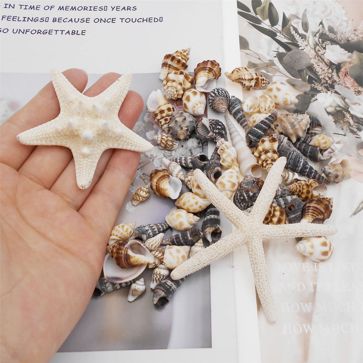 82Pcs Natural Shell Spiral Conch Sea Starfish Shell DIY Fish Tank Landscaping Making Accessory Home Ornament Decor
