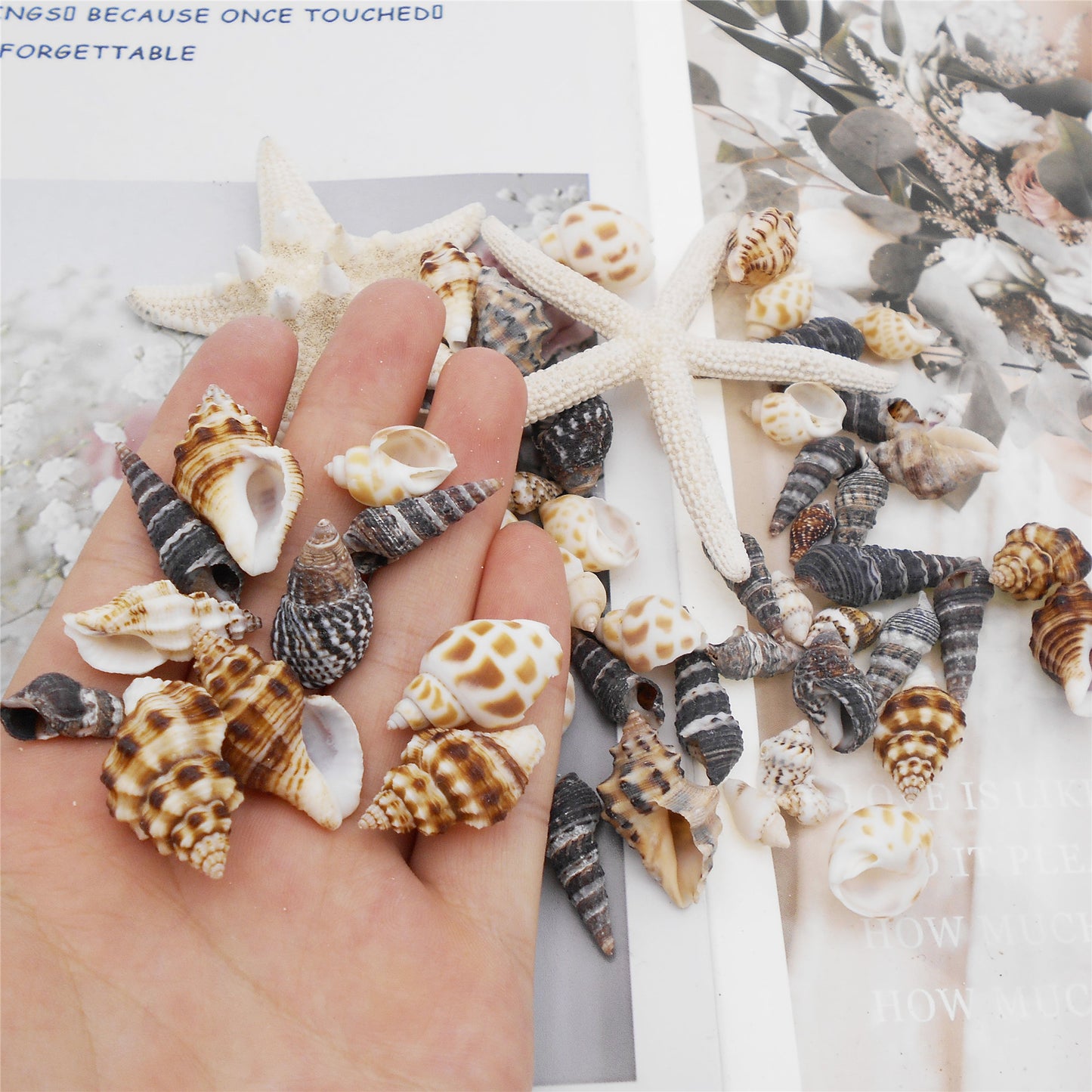 82Pcs Natural Shell Spiral Conch Sea Starfish Shell DIY Fish Tank Landscaping Making Accessory Home Ornament Decor