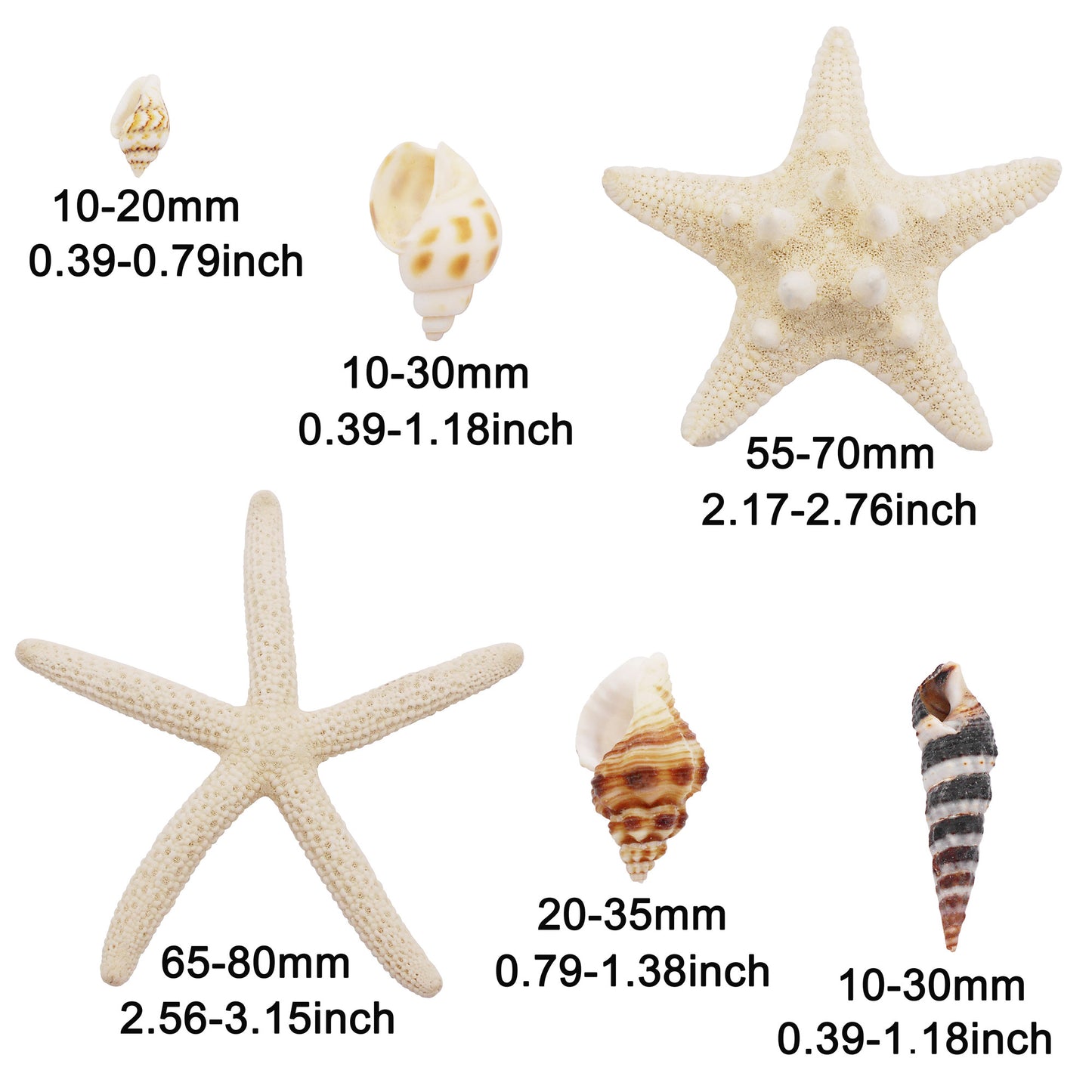 82Pcs Natural Shell Spiral Conch Sea Starfish Shell DIY Fish Tank Landscaping Making Accessory Home Ornament Decor