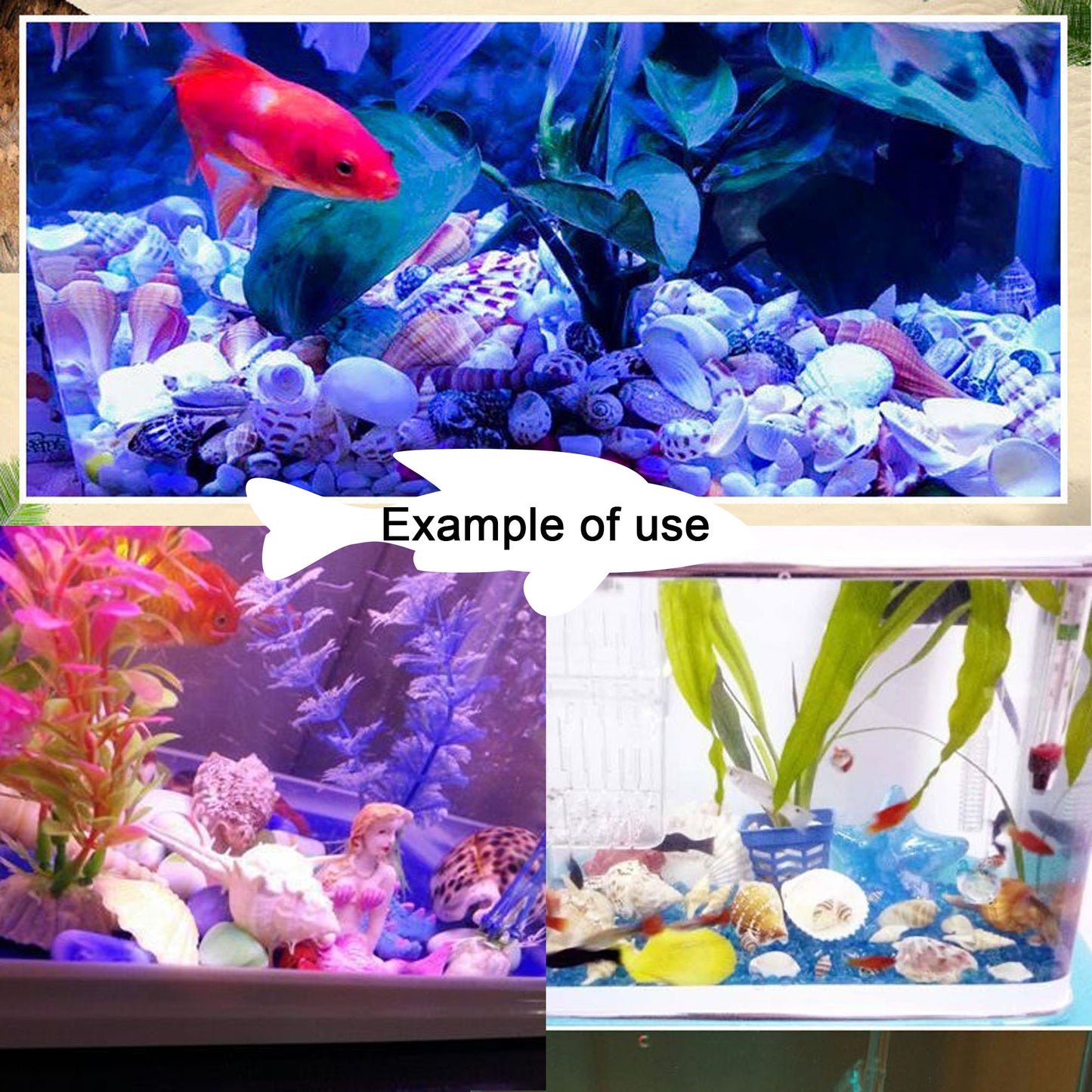 50Pcs Sea Shell Natural Marine Conch Shell DIY Fish Tank Landscaping Ornament Making Supplies Home Beach Wedding Decor Accessory