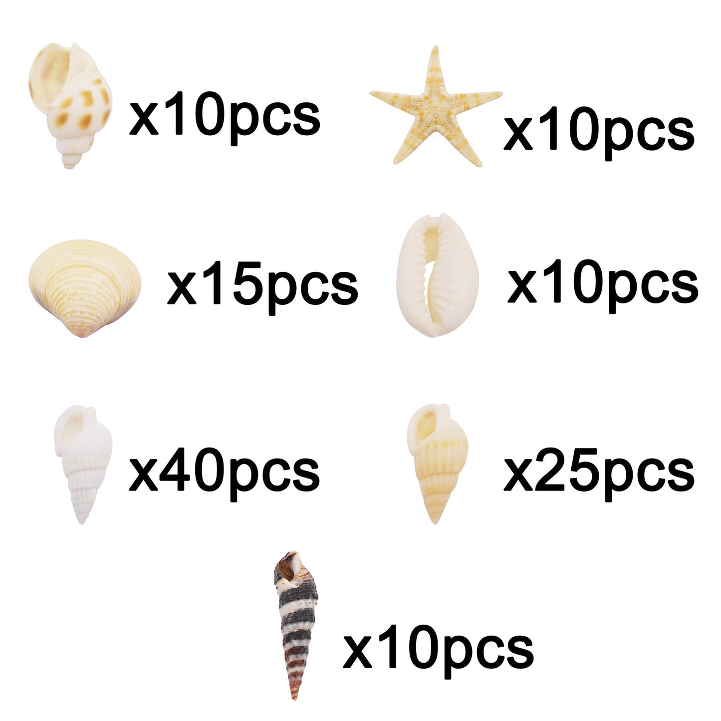 1 Box of Natural Sea Shell Marine Conch Shell DIY Jewelry Accessory Crafts Fish Tank Landscaping Ornament Making Supplies