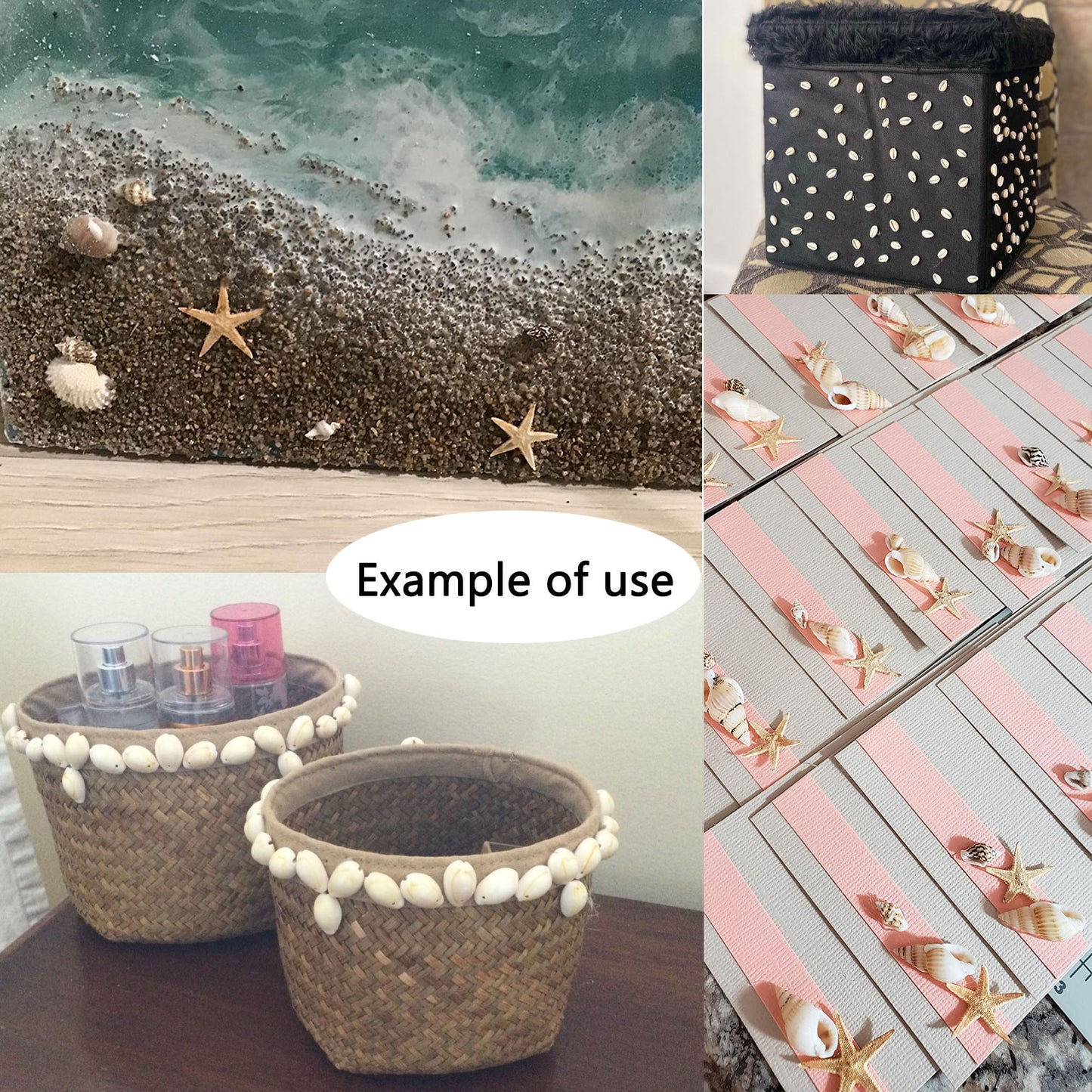 1 Box of Natural Sea Shell Marine Conch Shell DIY Jewelry Accessory Crafts Fish Tank Landscaping Ornament Making Supplies