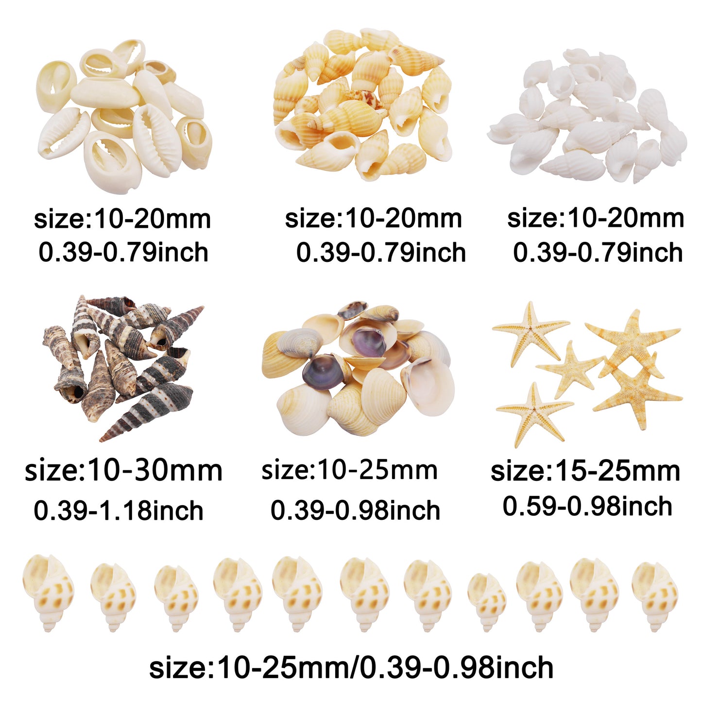 1 Box of Natural Sea Shell Marine Conch Shell DIY Jewelry Accessory Crafts Fish Tank Landscaping Ornament Making Supplies