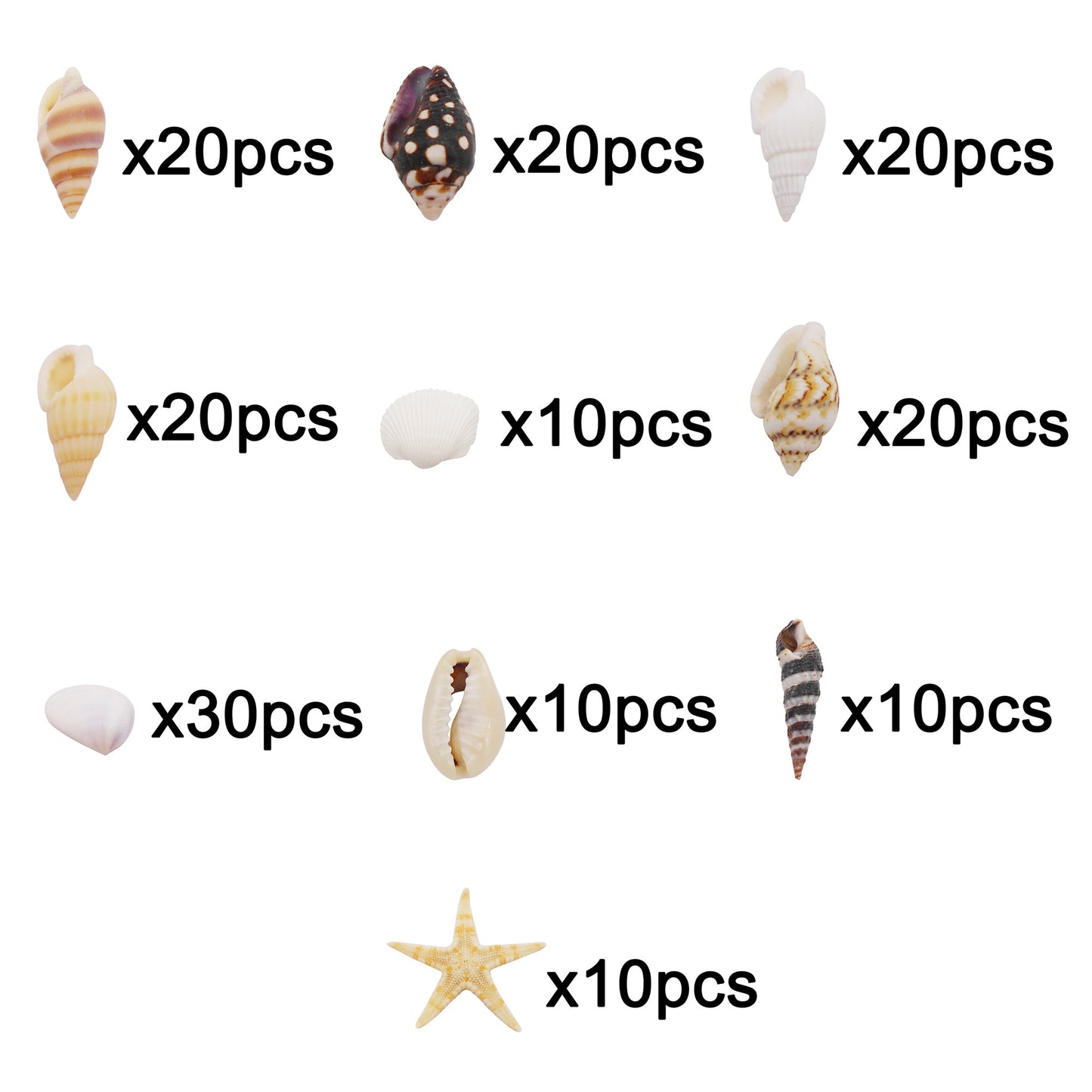 1 Box of Natural Sea Shell Marine Conch Shell DIY Jewelry Accessory Crafts Fish Tank Landscaping Ornament Making Supplies