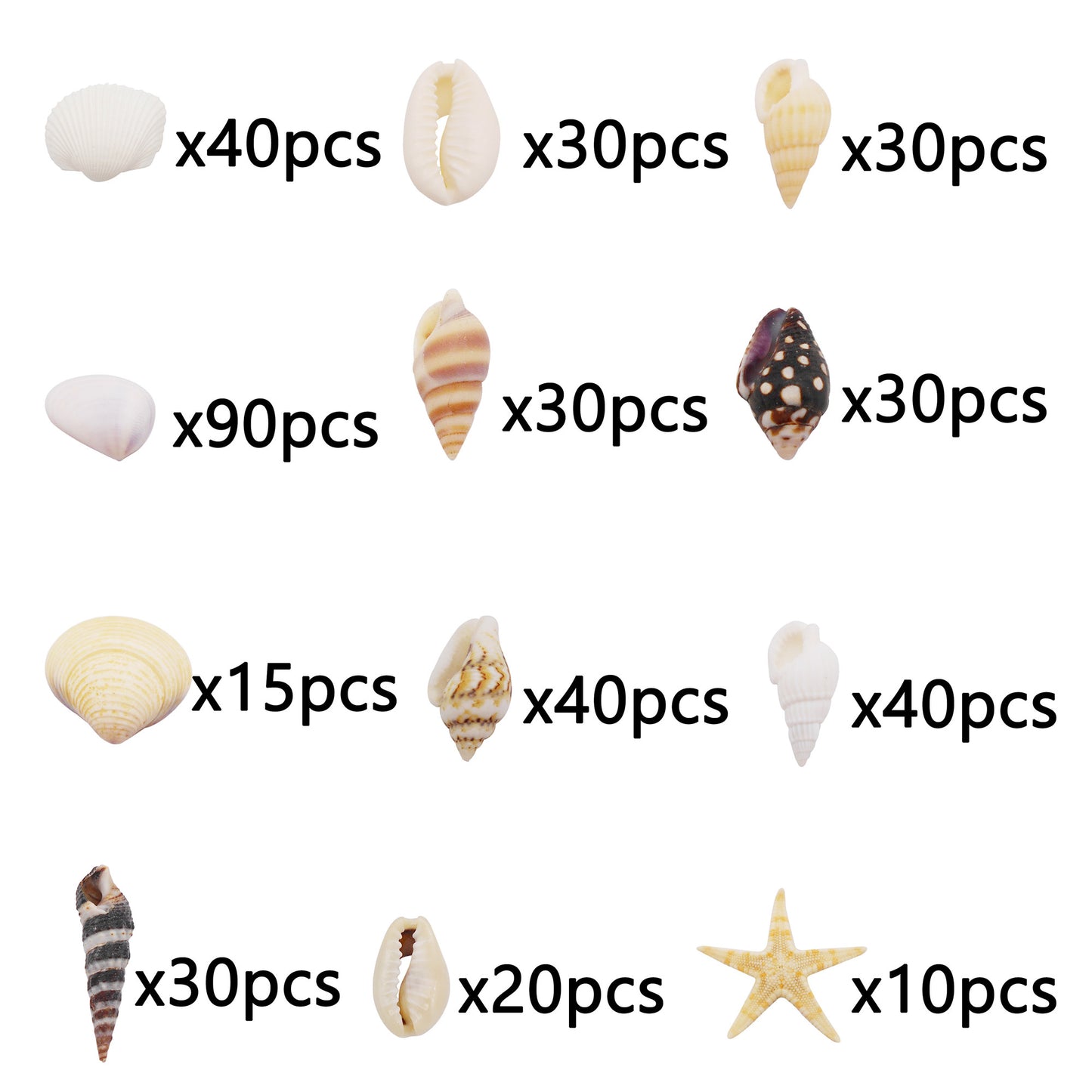 1 Box of Natural Sea Shell Marine Conch Shell DIY Jewelry Accessory Crafts Fish Tank Landscaping Ornament Making Supplies