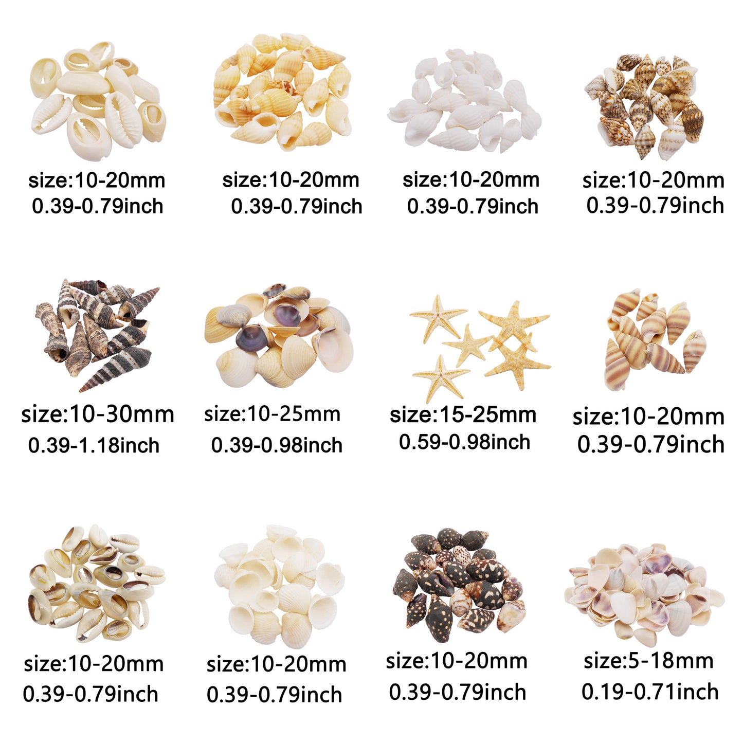 1 Box of Natural Sea Shell Marine Conch Shell DIY Jewelry Accessory Crafts Fish Tank Landscaping Ornament Making Supplies