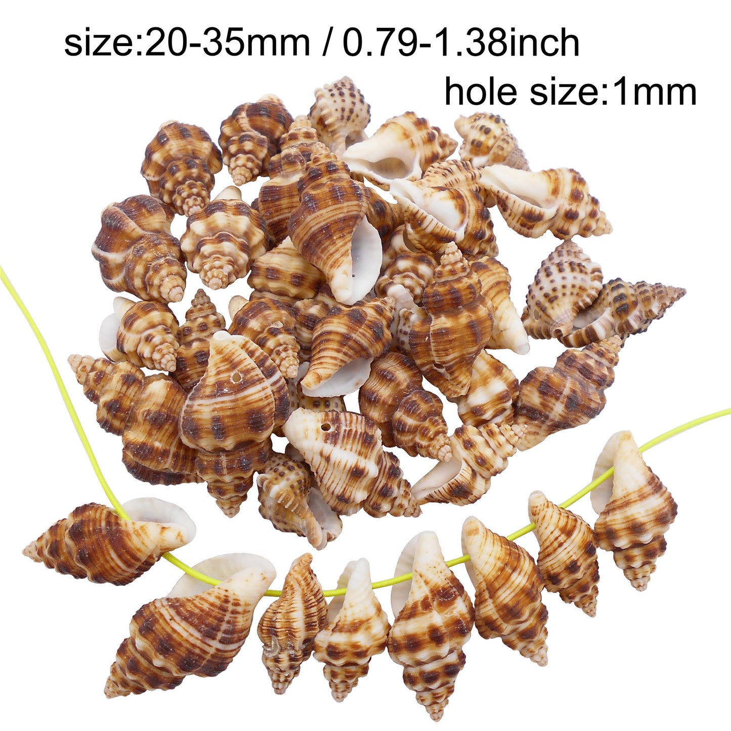 4/10Pcs Natural Scallop Conch Shell with Hole Beach Sea Sell Bead for DIY Jewelry Making Accessory, Fish Tank Aquarium Home Decor
