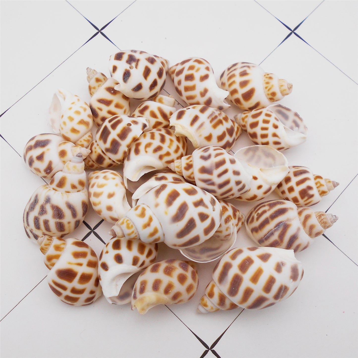 4/10Pcs Natural Scallop Conch Shell with Hole Beach Sea Sell Bead for DIY Jewelry Making Accessory, Fish Tank Aquarium Home Decor