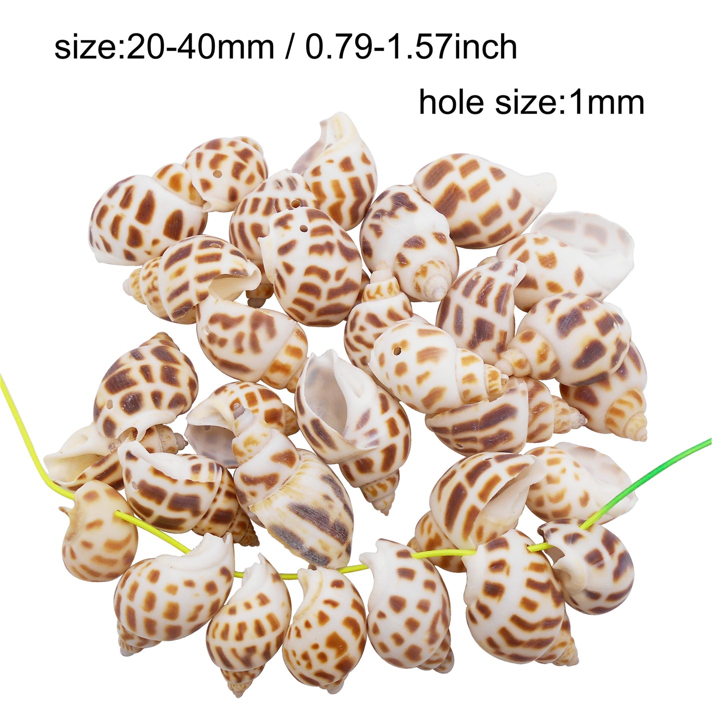 4/10Pcs Natural Scallop Conch Shell with Hole Beach Sea Sell Bead for DIY Jewelry Making Accessory, Fish Tank Aquarium Home Decor