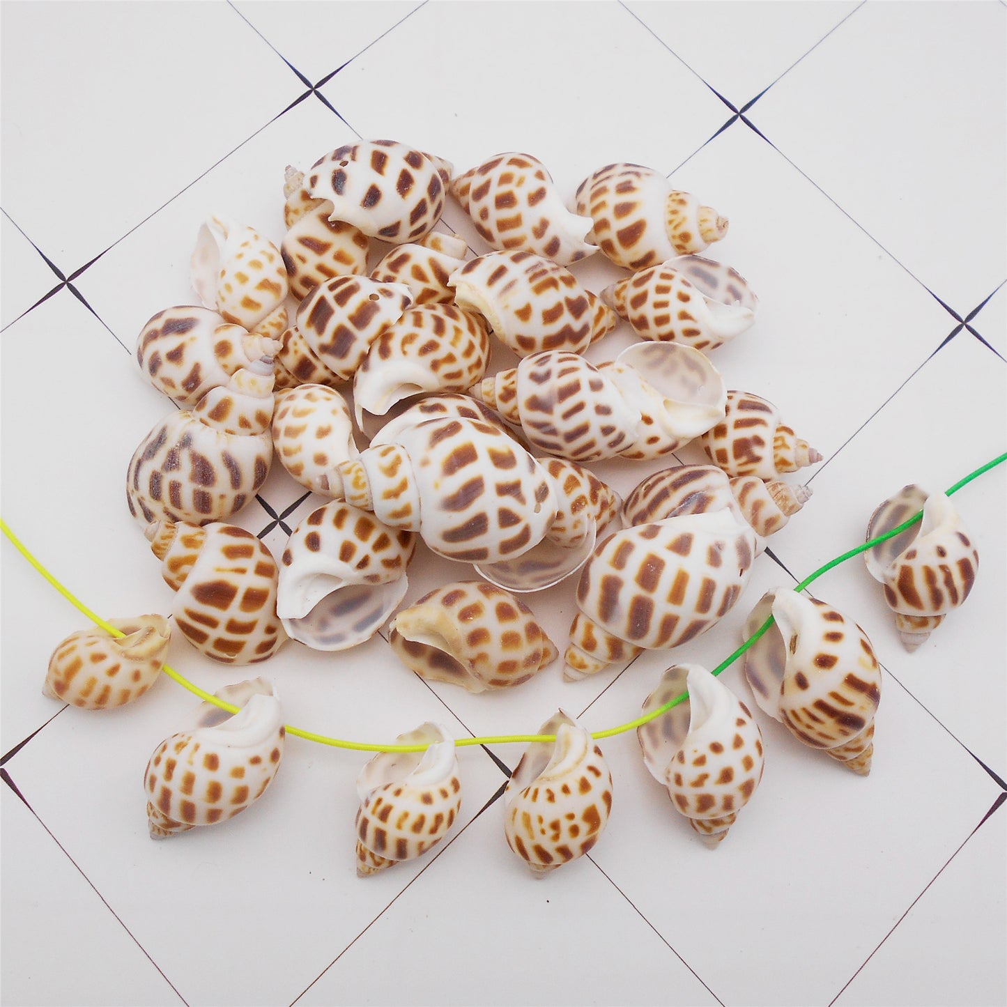 4/10Pcs Natural Scallop Conch Shell with Hole Beach Sea Sell Bead for DIY Jewelry Making Accessory, Fish Tank Aquarium Home Decor