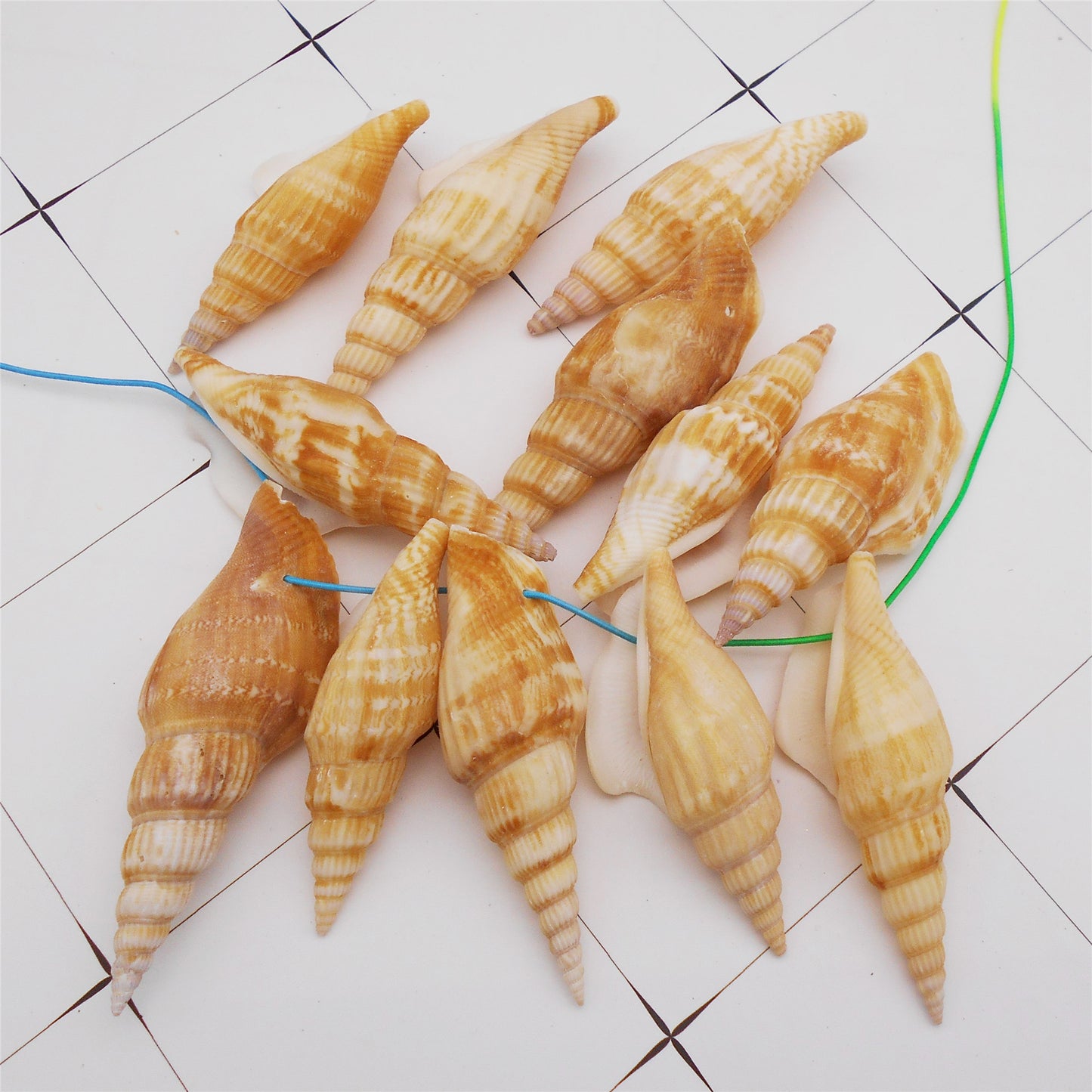 4/10Pcs Natural Scallop Conch Shell with Hole Beach Sea Sell Bead for DIY Jewelry Making Accessory, Fish Tank Aquarium Home Decor
