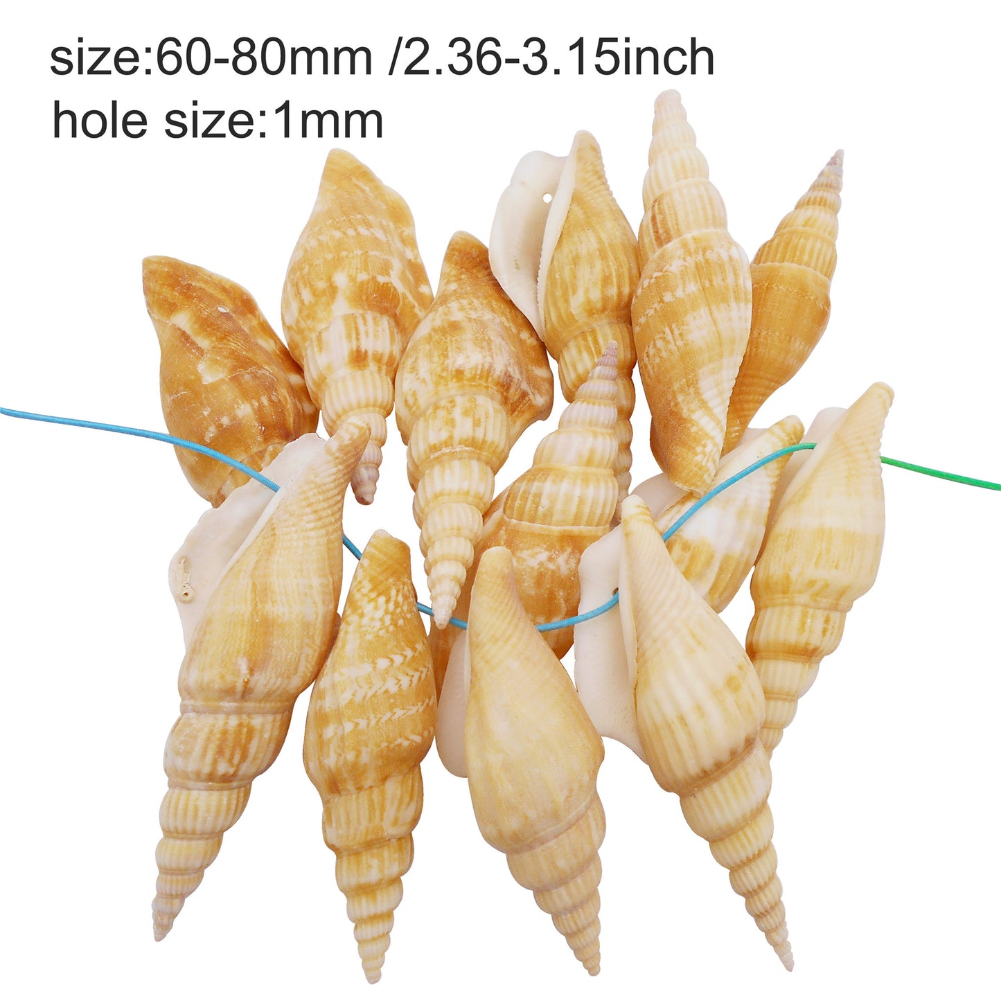 4/10Pcs Natural Scallop Conch Shell with Hole Beach Sea Sell Bead for DIY Jewelry Making Accessory, Fish Tank Aquarium Home Decor