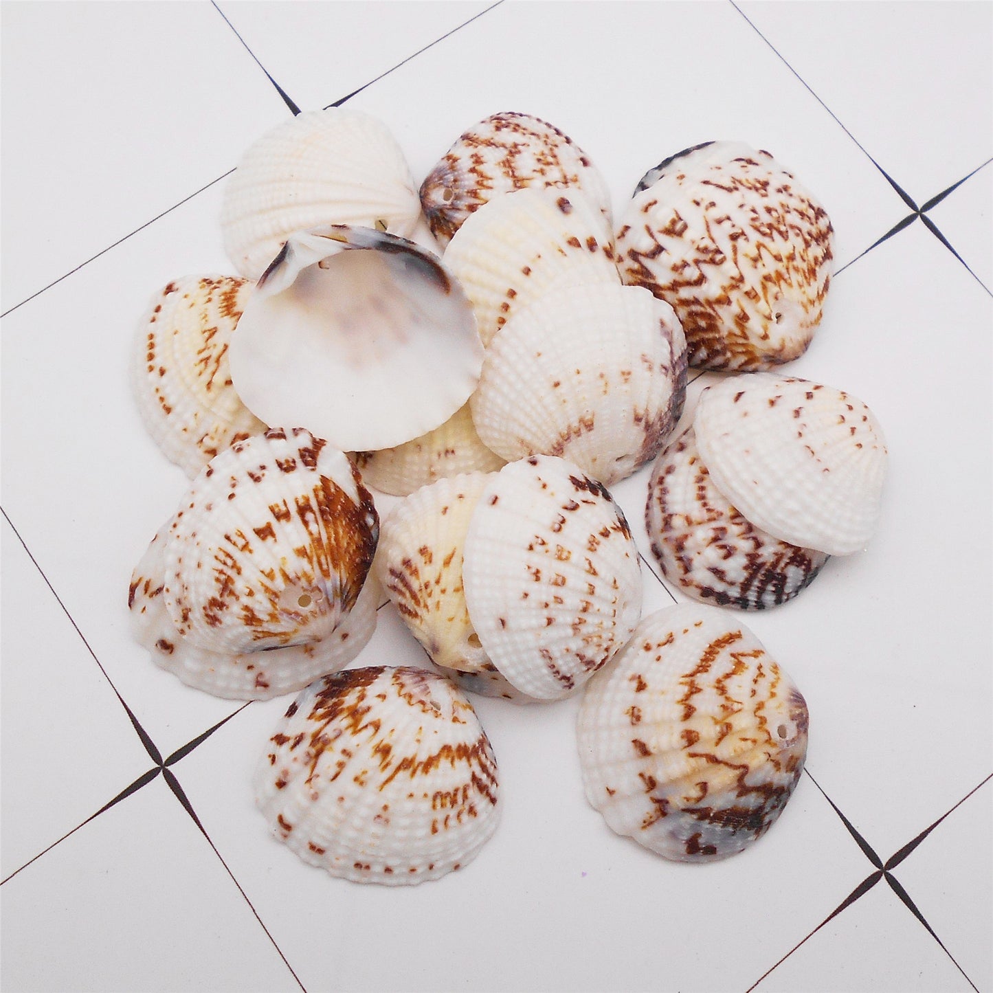 4/10Pcs Natural Scallop Conch Shell with Hole Beach Sea Sell Bead for DIY Jewelry Making Accessory, Fish Tank Aquarium Home Decor