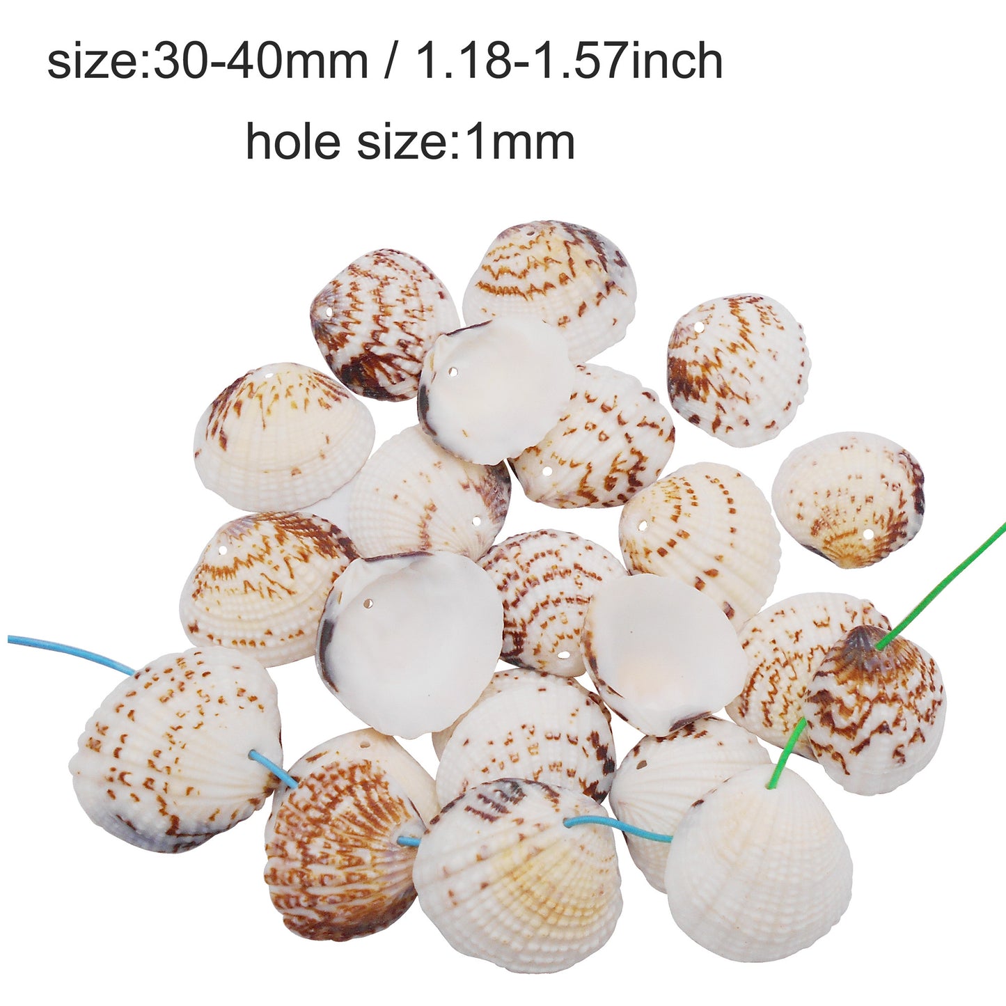 4/10Pcs Natural Scallop Conch Shell with Hole Beach Sea Sell Bead for DIY Jewelry Making Accessory, Fish Tank Aquarium Home Decor