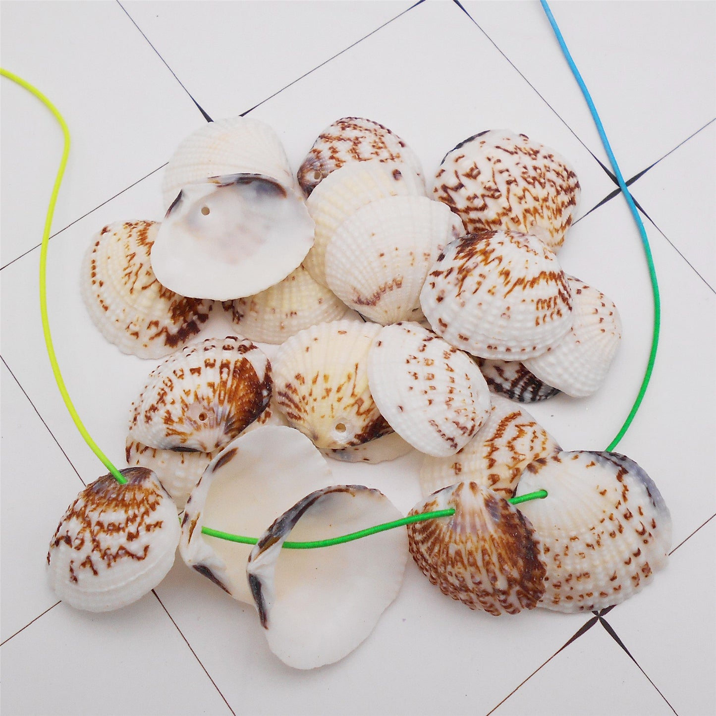 4/10Pcs Natural Scallop Conch Shell with Hole Beach Sea Sell Bead for DIY Jewelry Making Accessory, Fish Tank Aquarium Home Decor