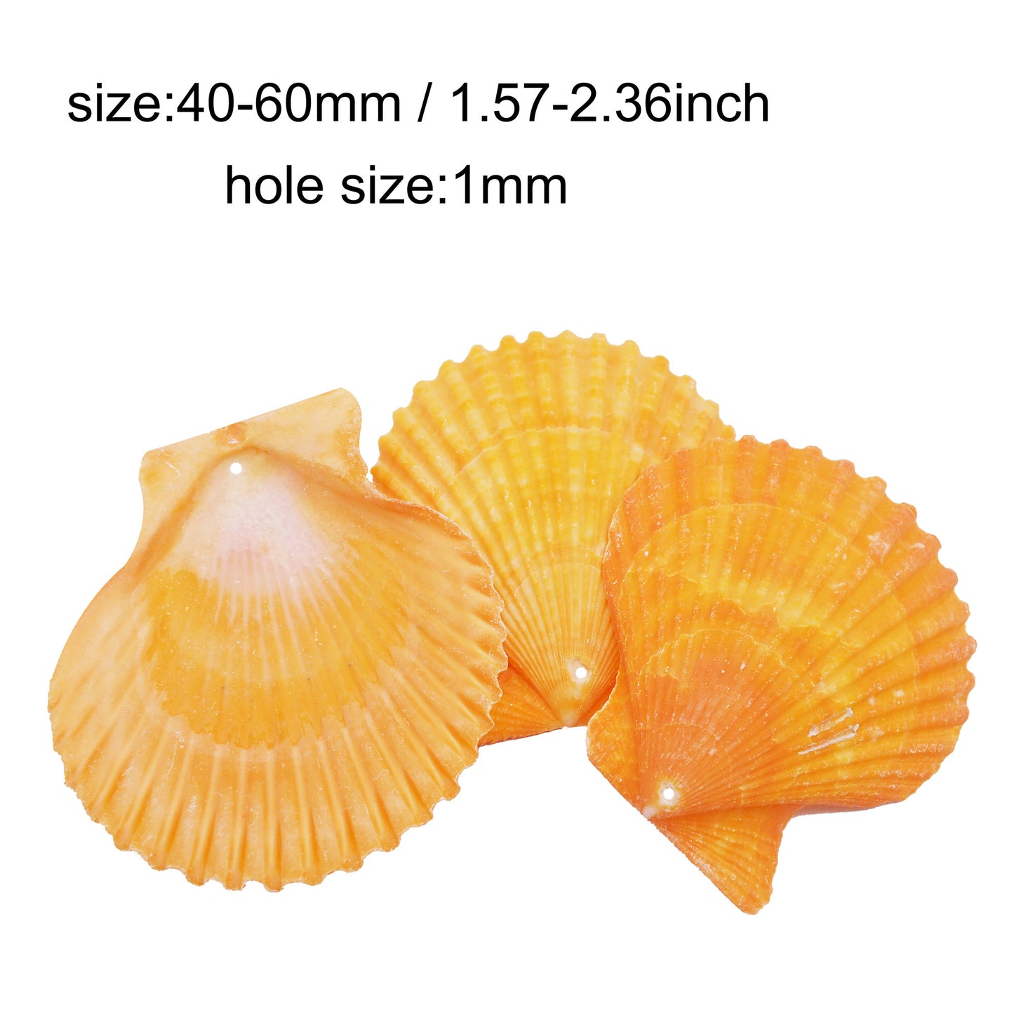 4/10Pcs Natural Scallop Conch Shell with Hole Beach Sea Sell Bead for DIY Jewelry Making Accessory, Fish Tank Aquarium Home Decor