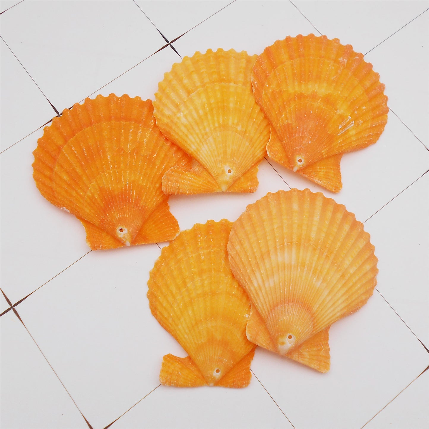4/10Pcs Natural Scallop Conch Shell with Hole Beach Sea Sell Bead for DIY Jewelry Making Accessory, Fish Tank Aquarium Home Decor