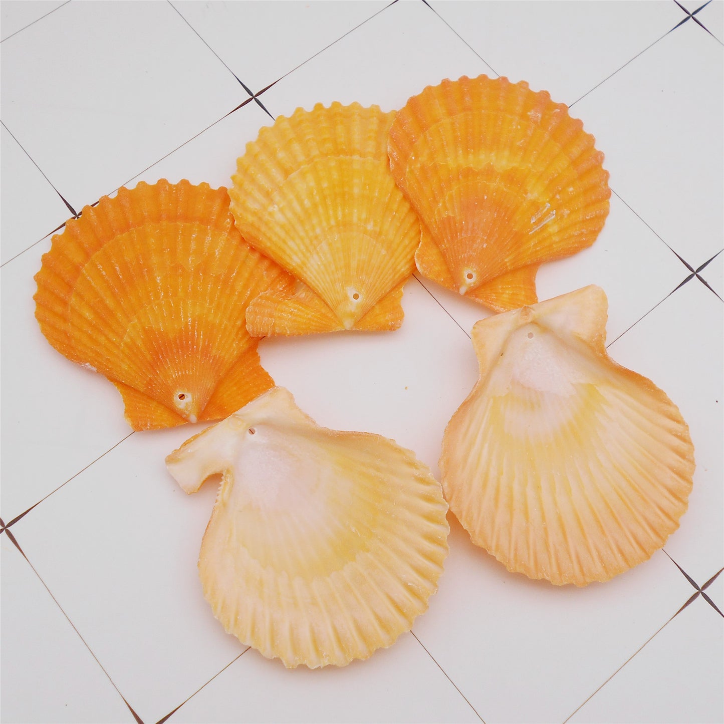 4/10Pcs Natural Scallop Conch Shell with Hole Beach Sea Sell Bead for DIY Jewelry Making Accessory, Fish Tank Aquarium Home Decor