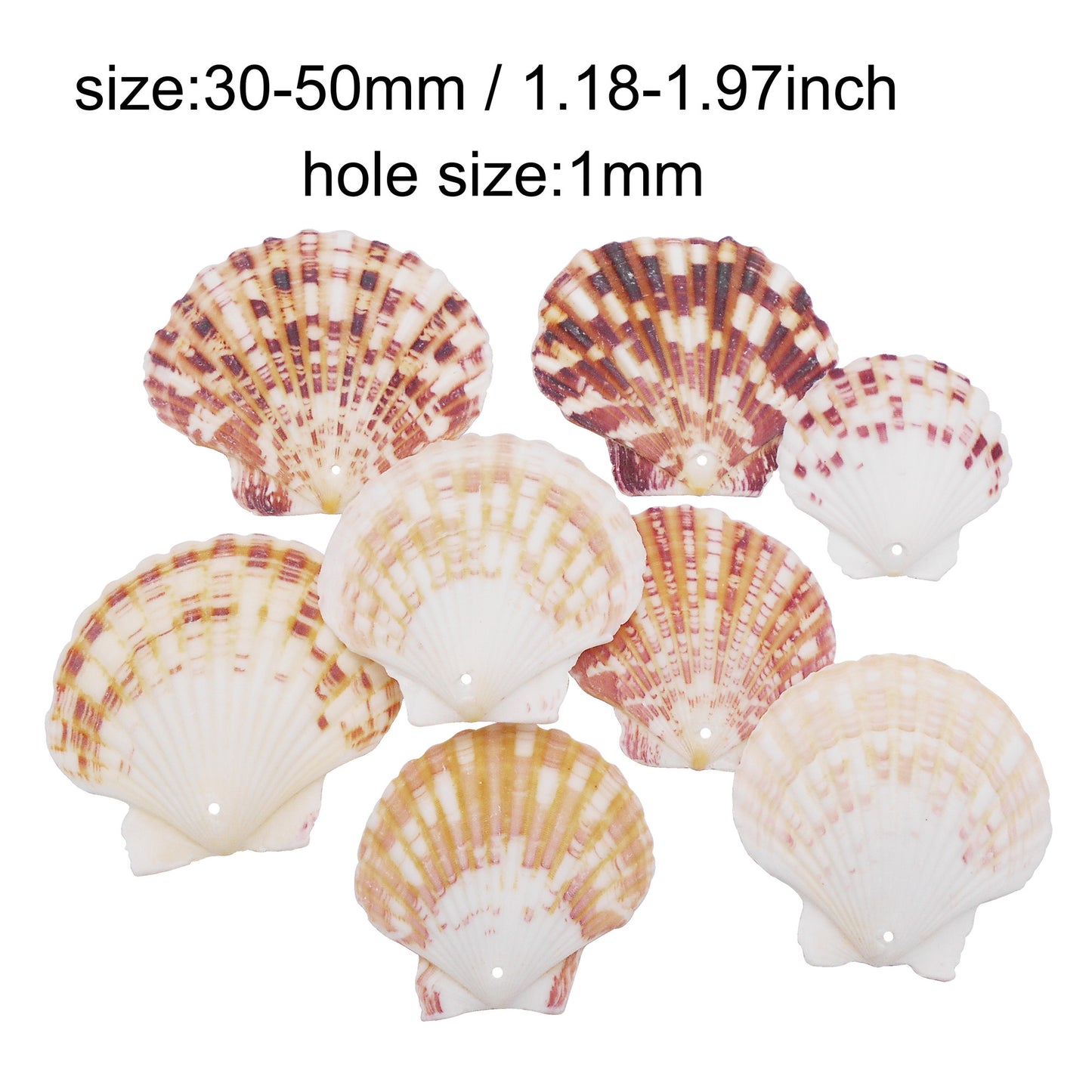 4/10Pcs Natural Scallop Conch Shell with Hole Beach Sea Sell Bead for DIY Jewelry Making Accessory, Fish Tank Aquarium Home Decor