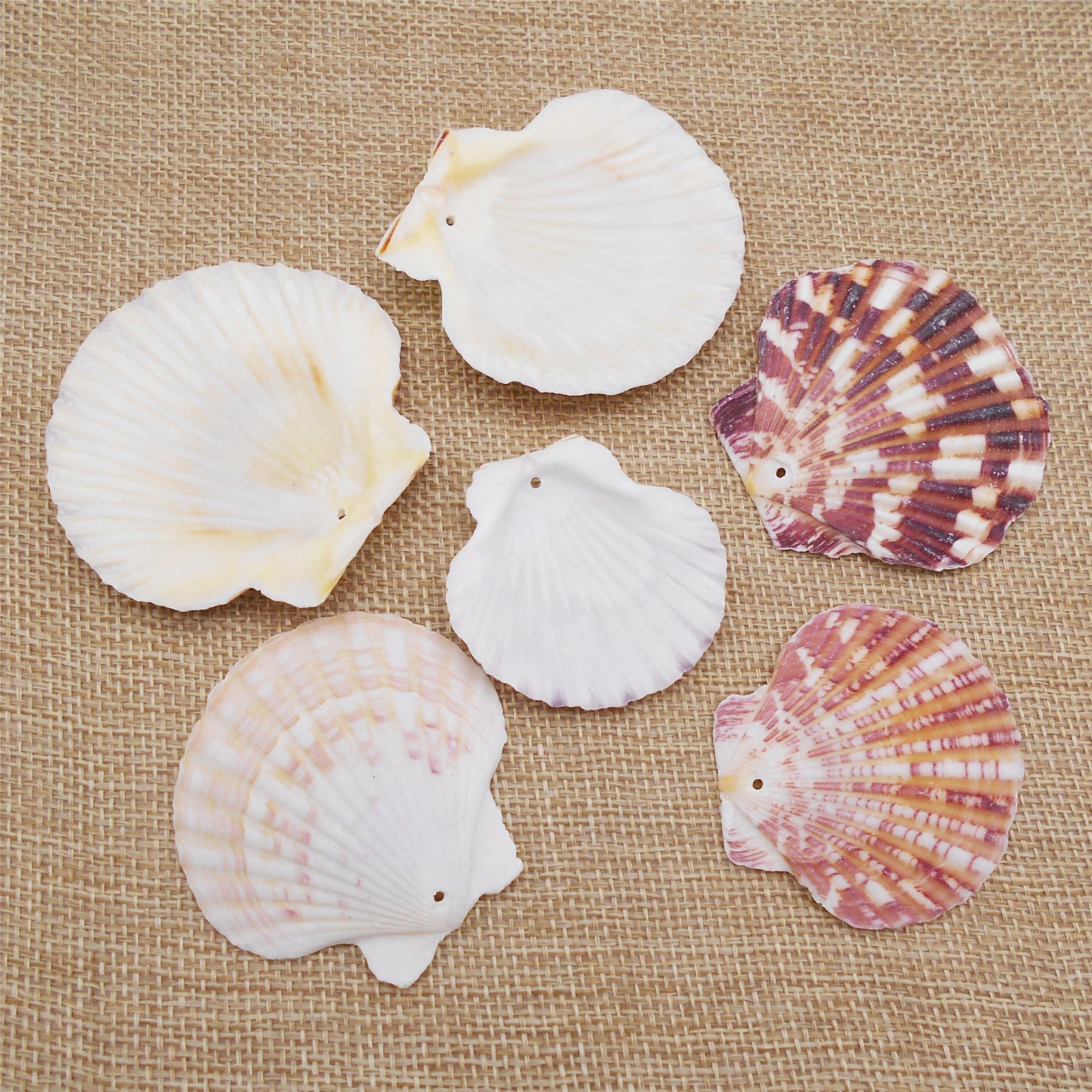 4/10Pcs Natural Scallop Conch Shell with Hole Beach Sea Sell Bead for DIY Jewelry Making Accessory, Fish Tank Aquarium Home Decor