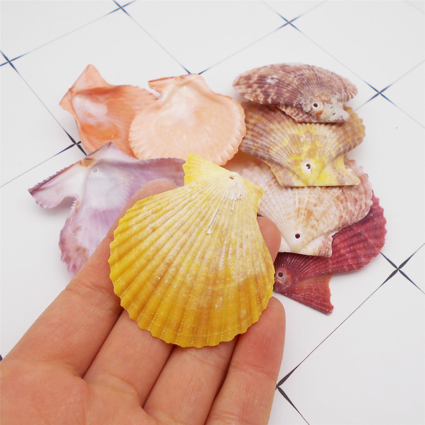 4/10Pcs Natural Scallop Conch Shell with Hole Beach Sea Sell Bead for DIY Jewelry Making Accessory, Fish Tank Aquarium Home Decor