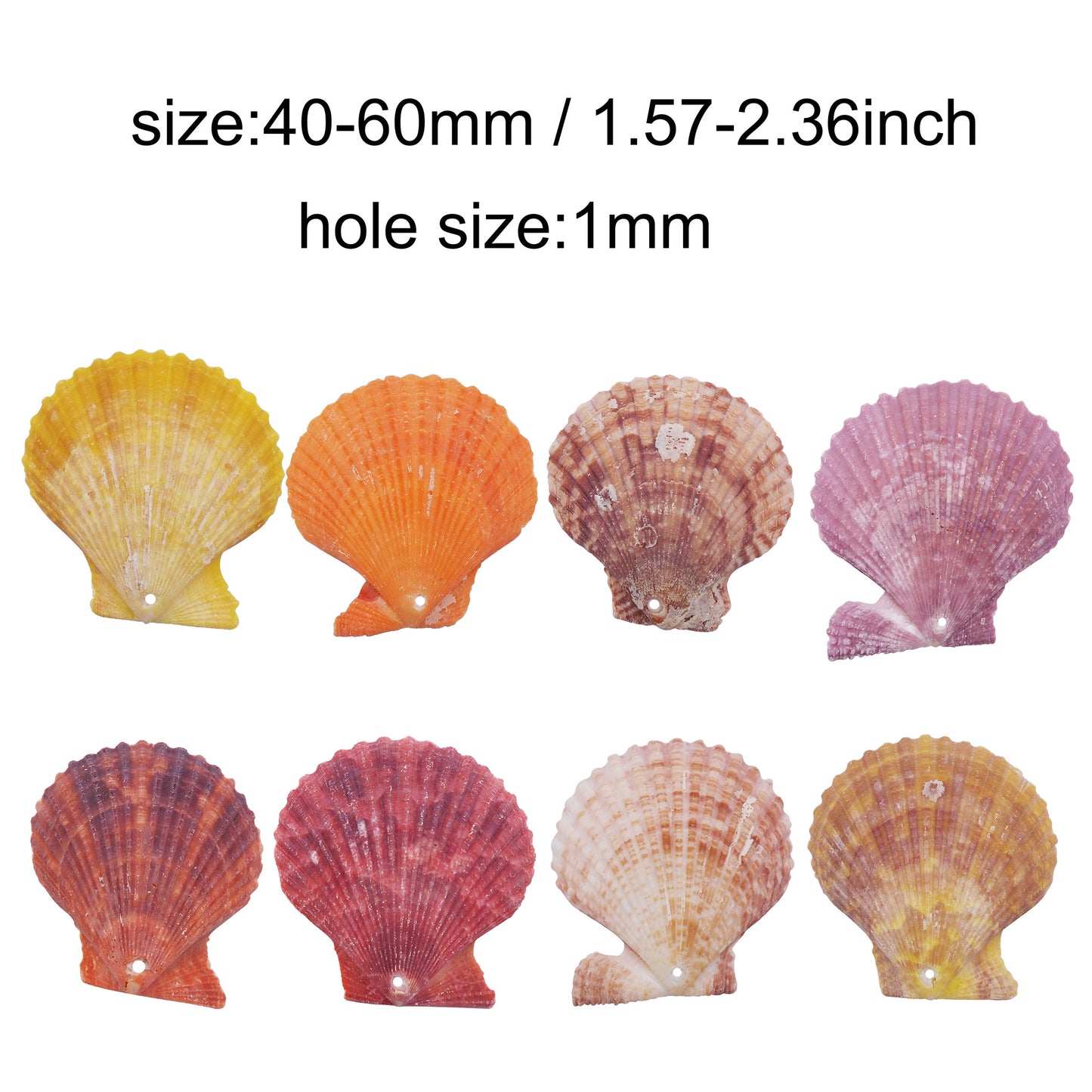 4/10Pcs Natural Scallop Conch Shell with Hole Beach Sea Sell Bead for DIY Jewelry Making Accessory, Fish Tank Aquarium Home Decor
