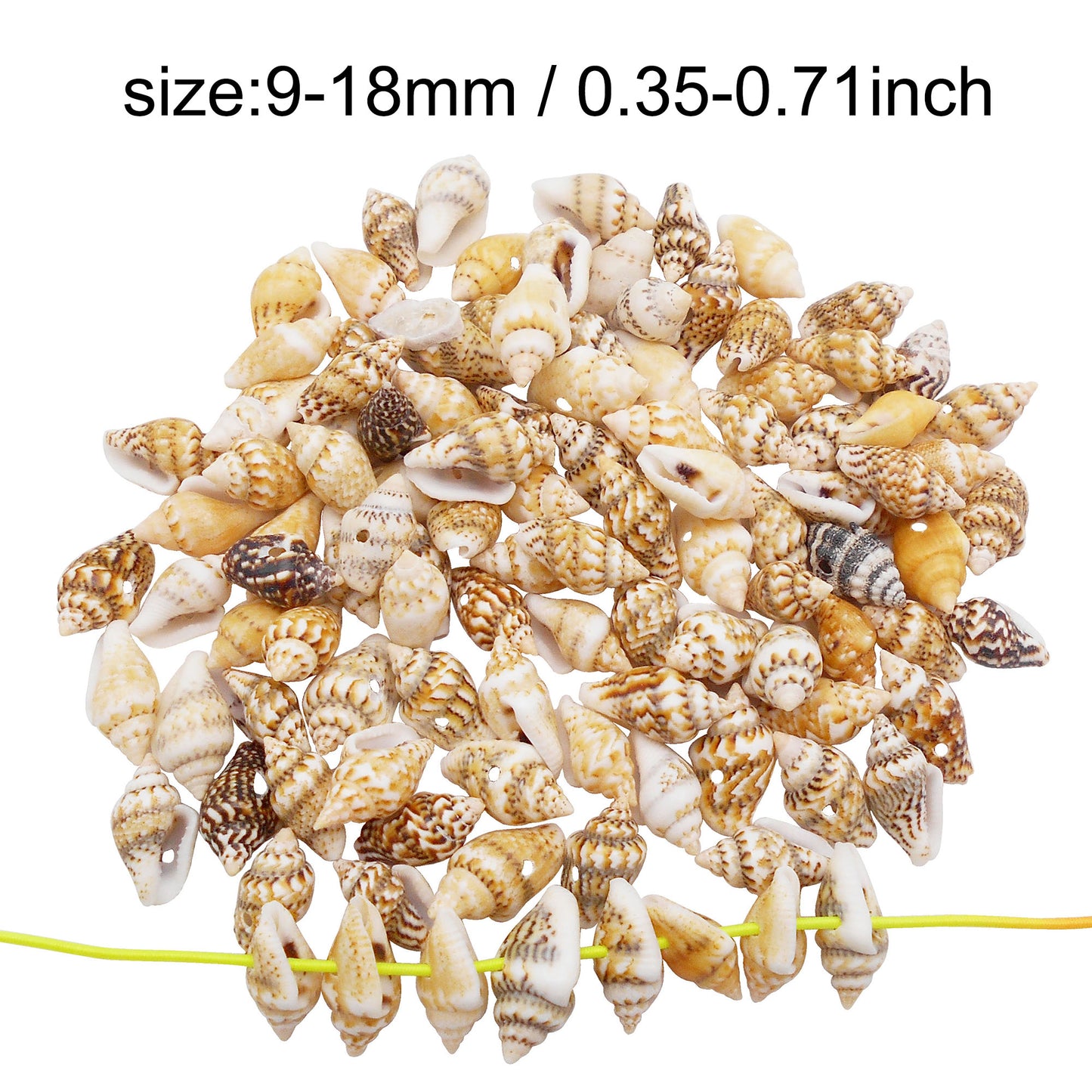 50g One Pack Marine Shell with Hole Natural Conch Shell Bead for DIY Jewelry Making, Fish Tank Aquarium Decor