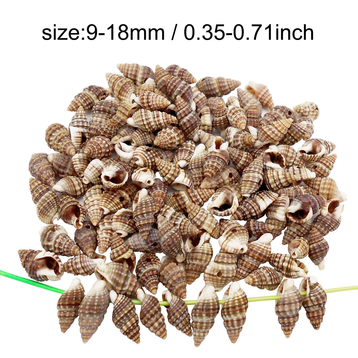 50g One Pack Marine Shell with Hole Natural Conch Shell Bead for DIY Jewelry Making, Fish Tank Aquarium Decor